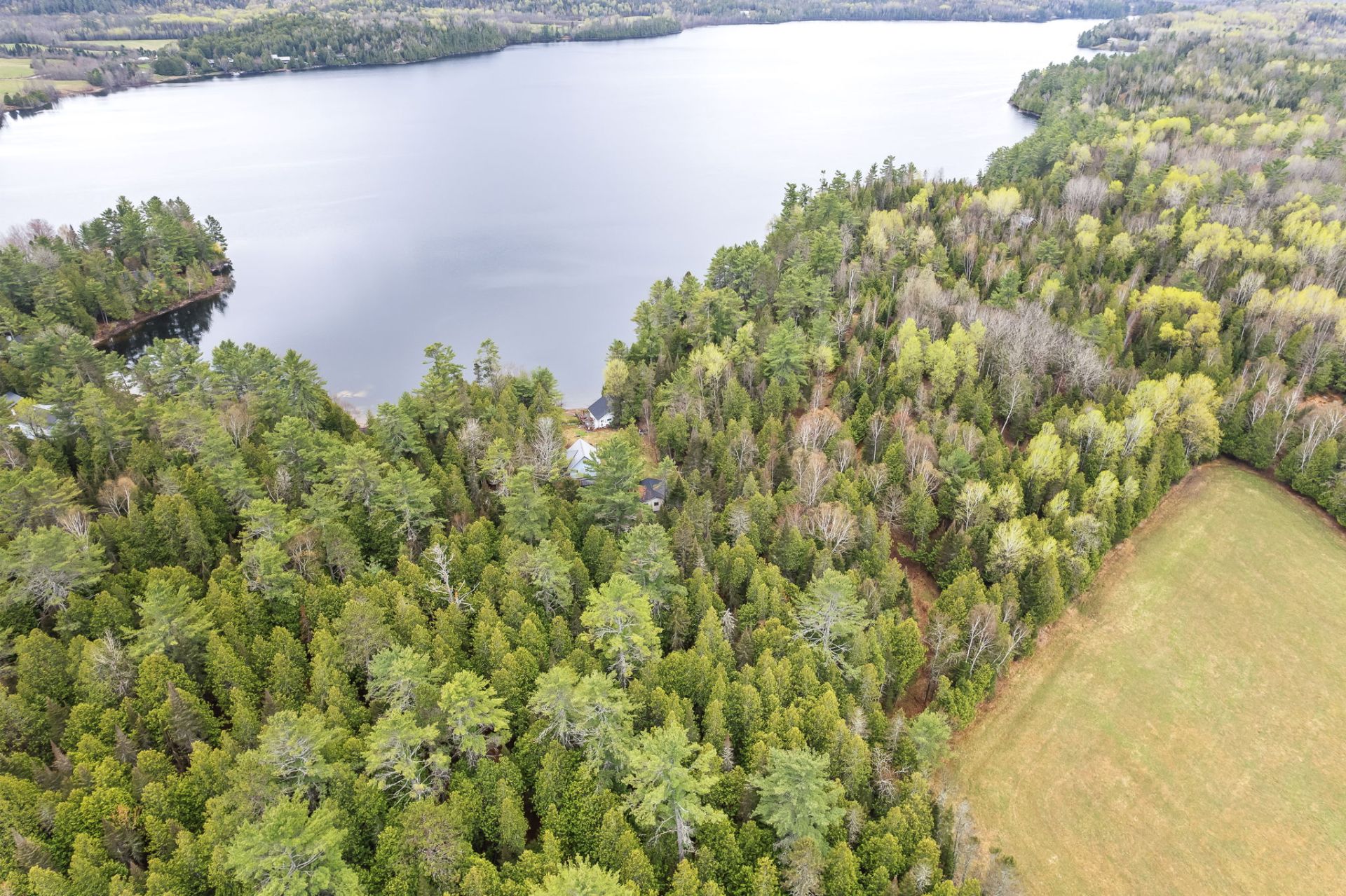 Aerial photo