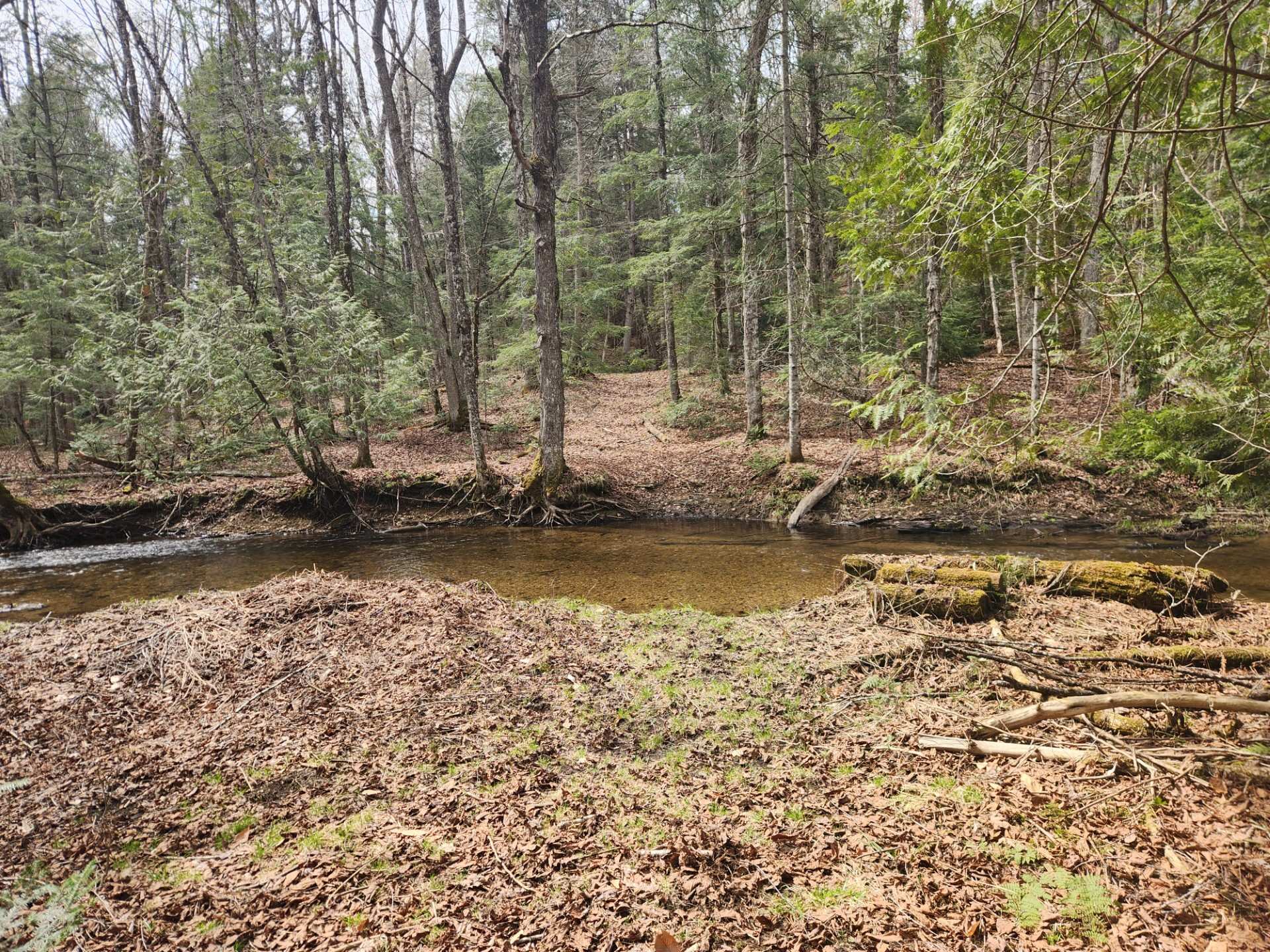 Terre à bois
