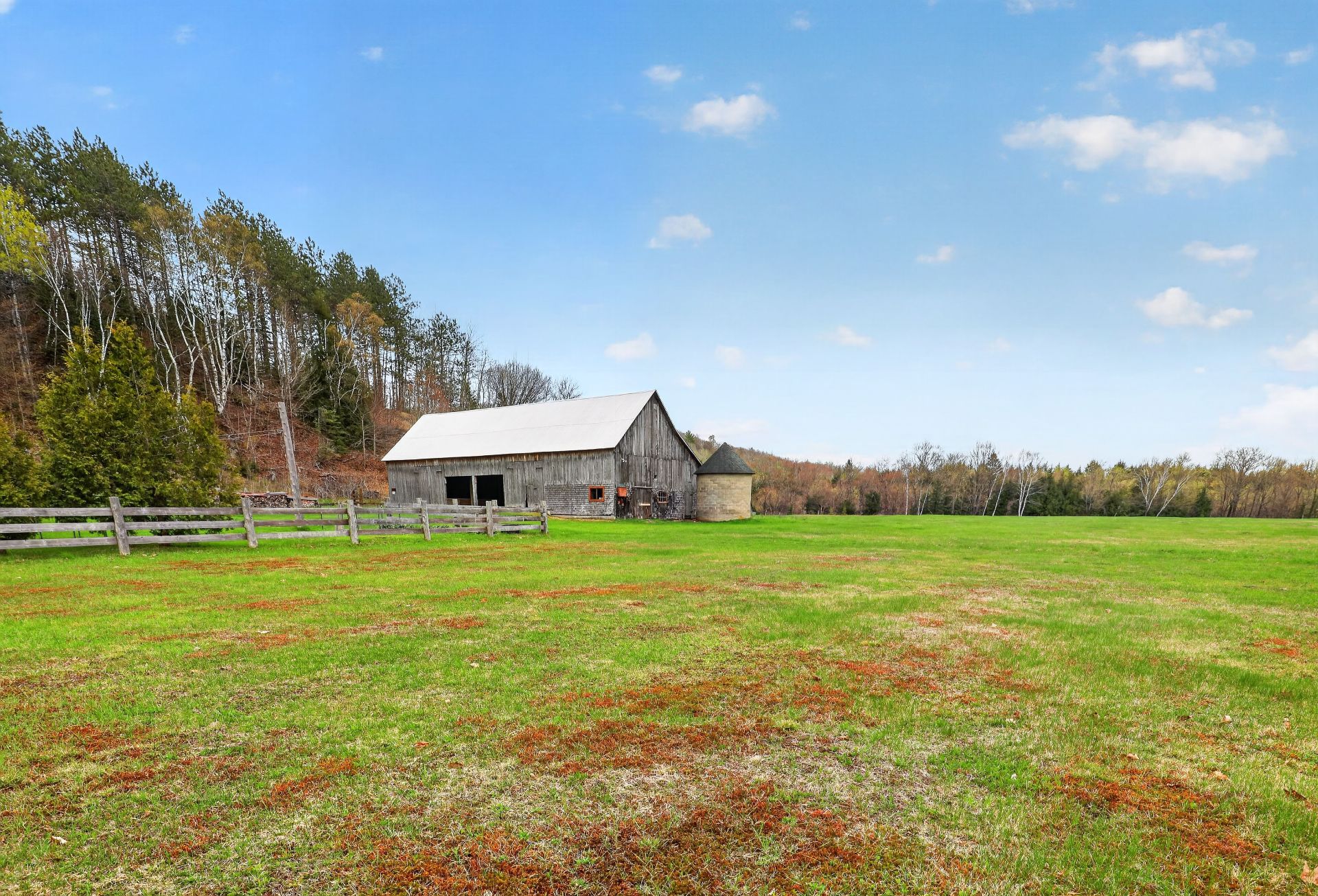 Cour