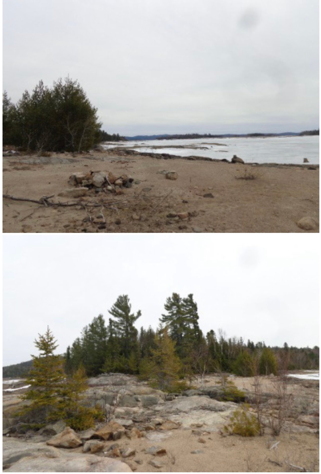 Land/Lot