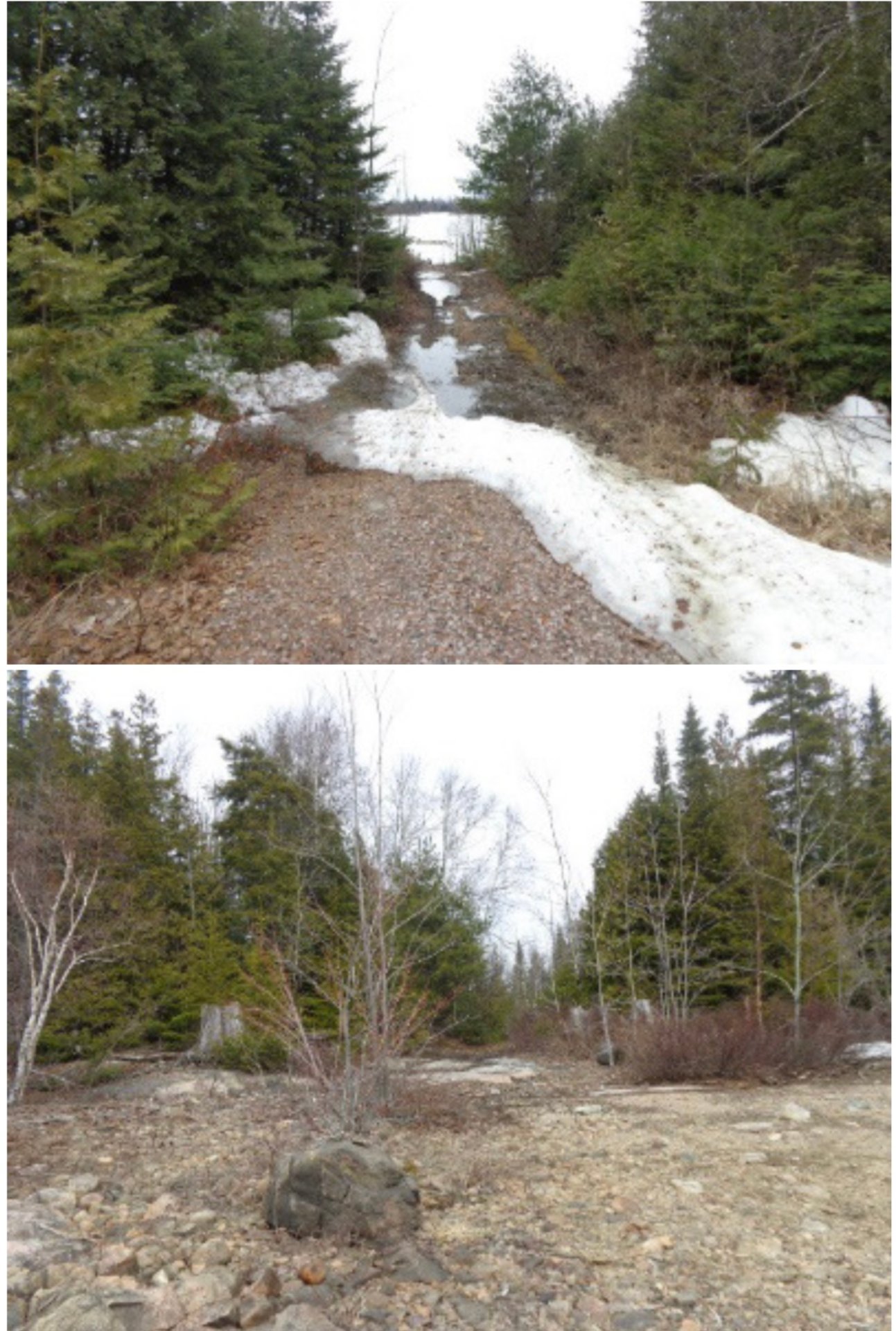 Land/Lot