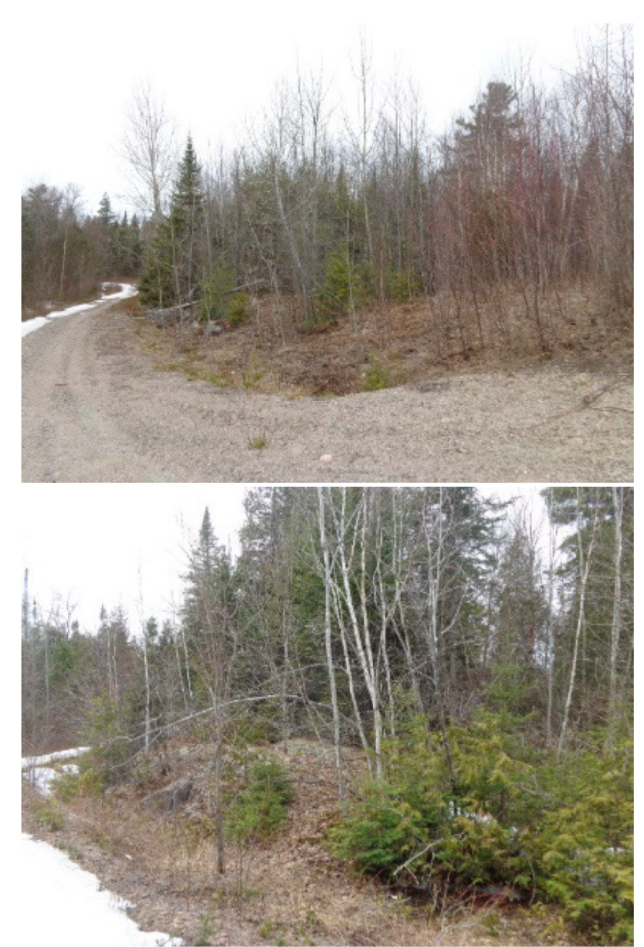 Land/Lot