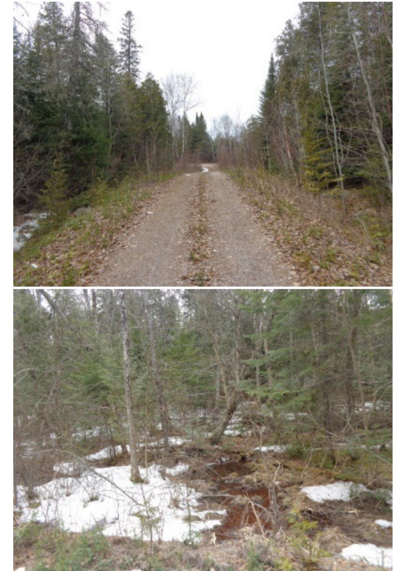 Land/Lot