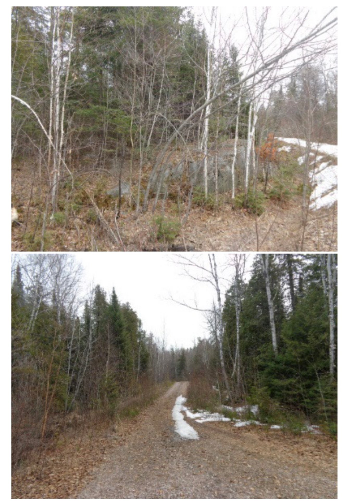 Land/Lot