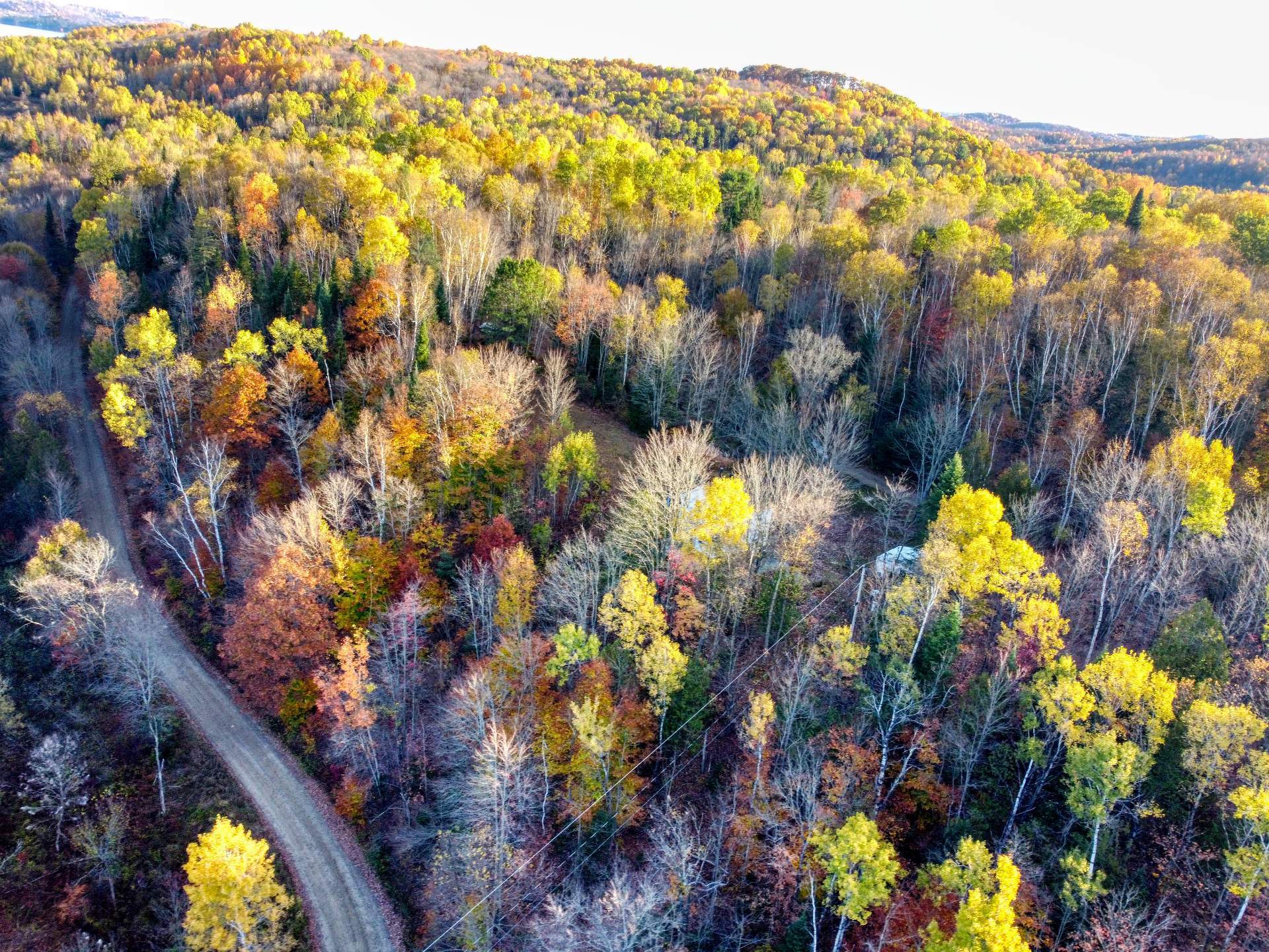 Aerial photo