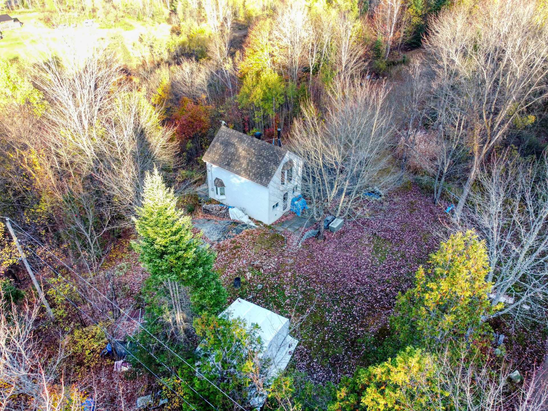 Aerial photo