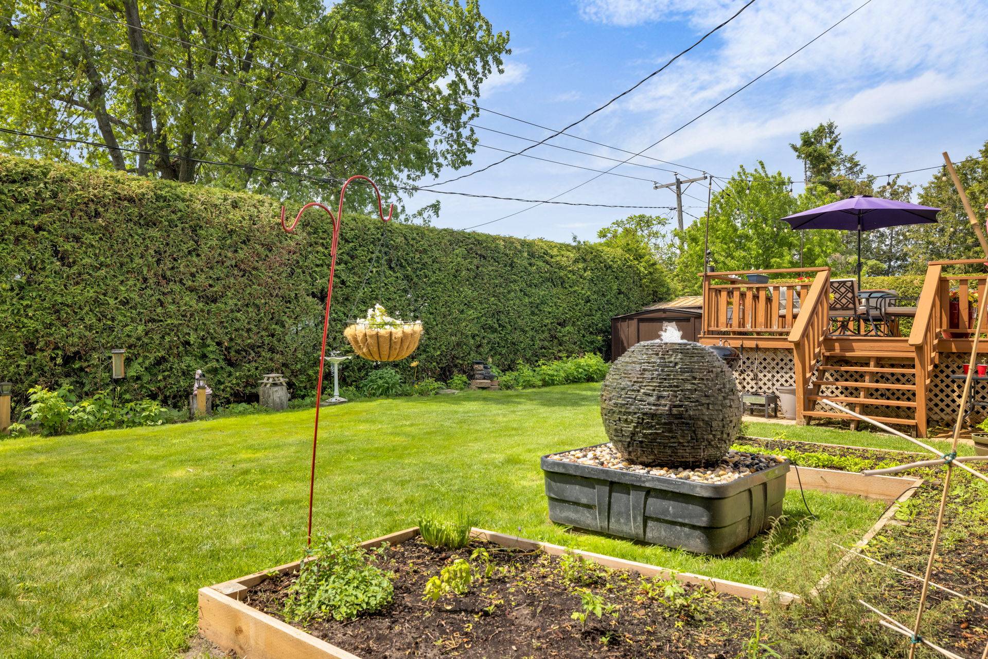 Backyard