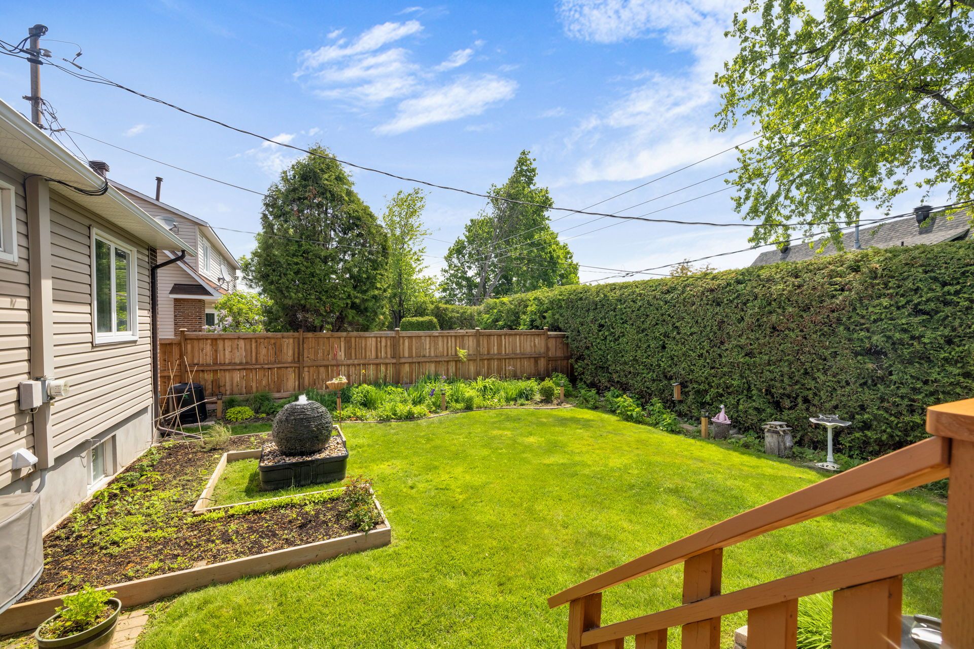 Backyard