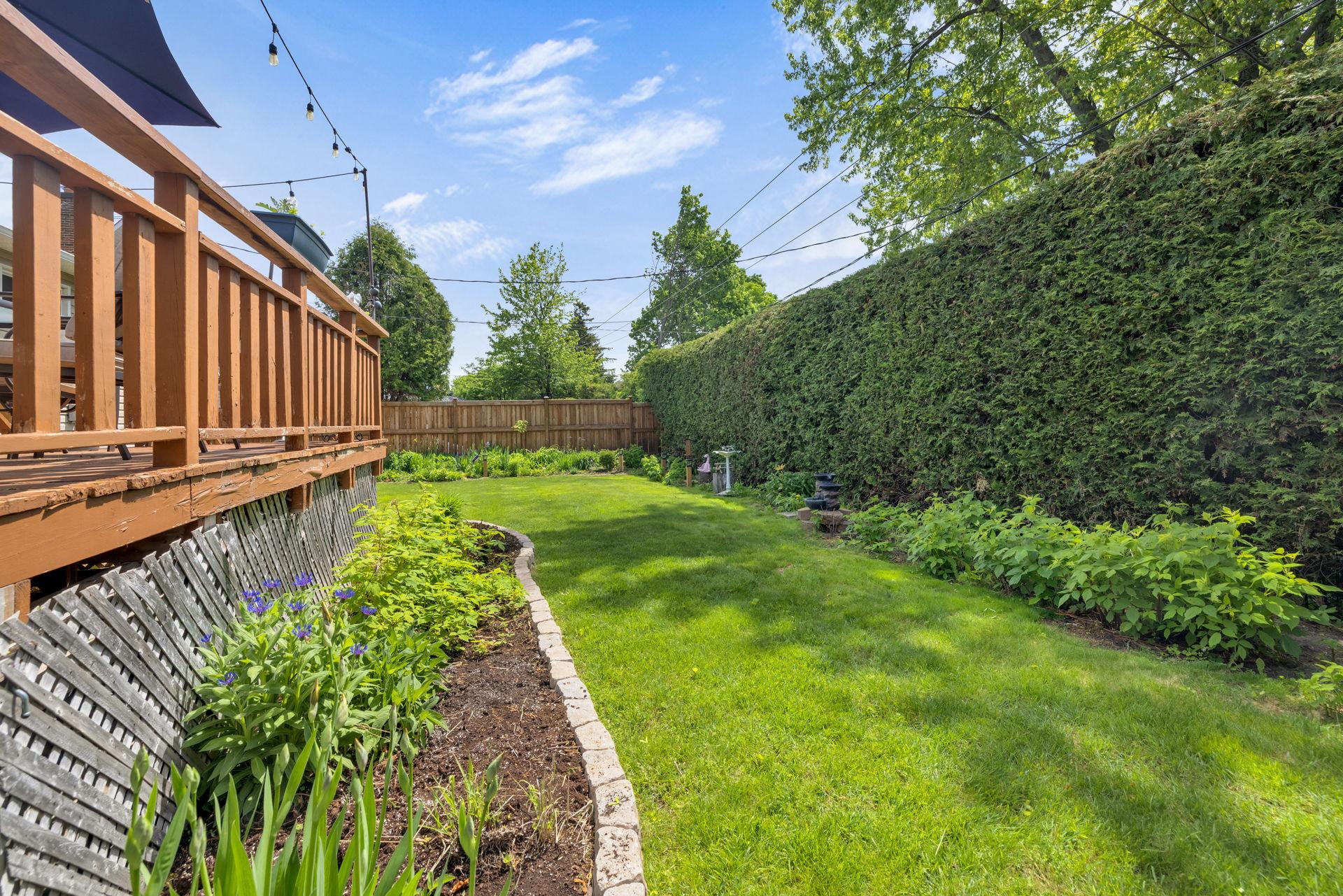 Backyard