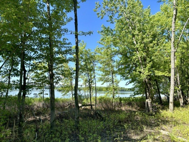 Bord de l'eau