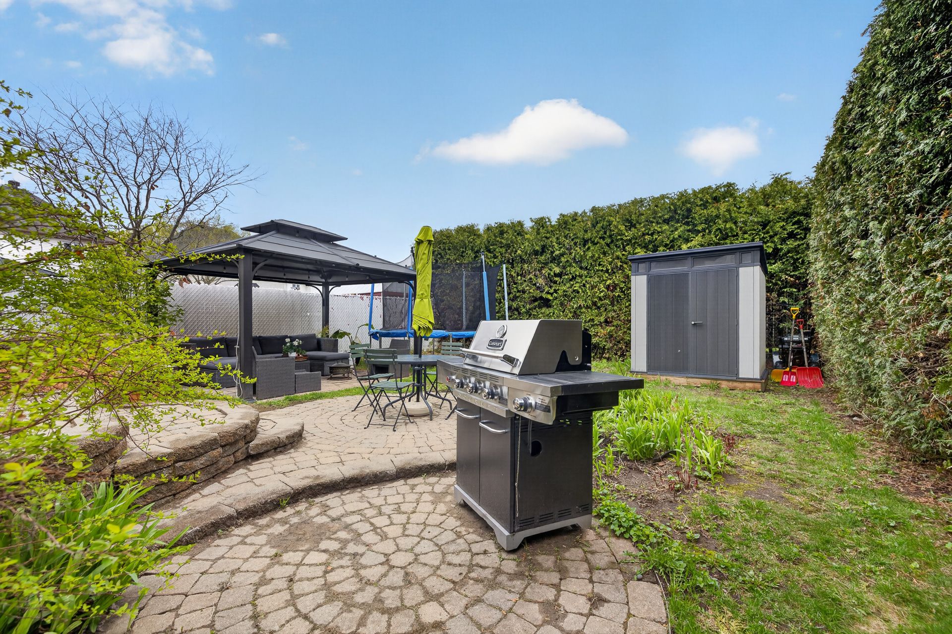 Backyard