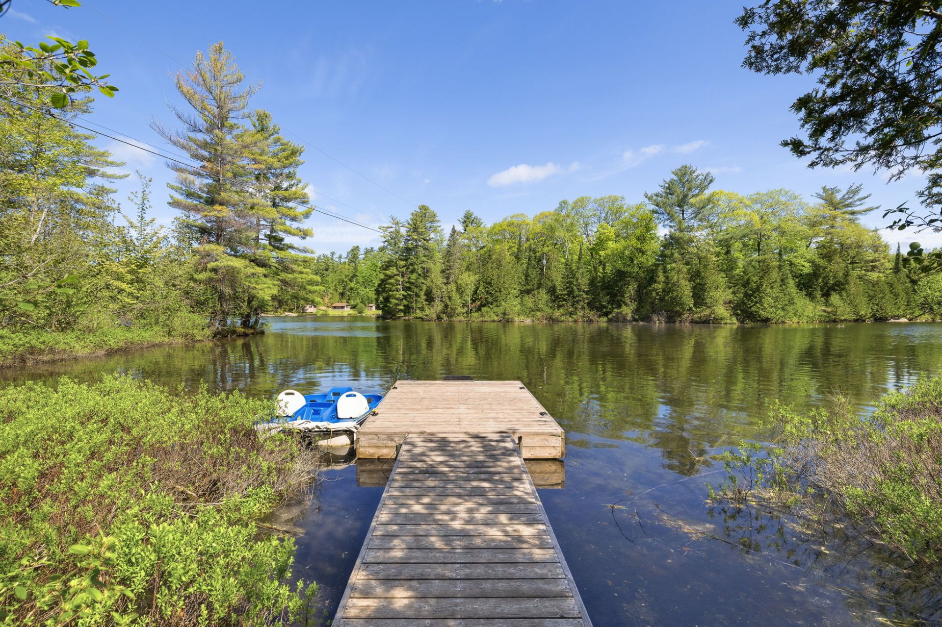 Bord de l'eau