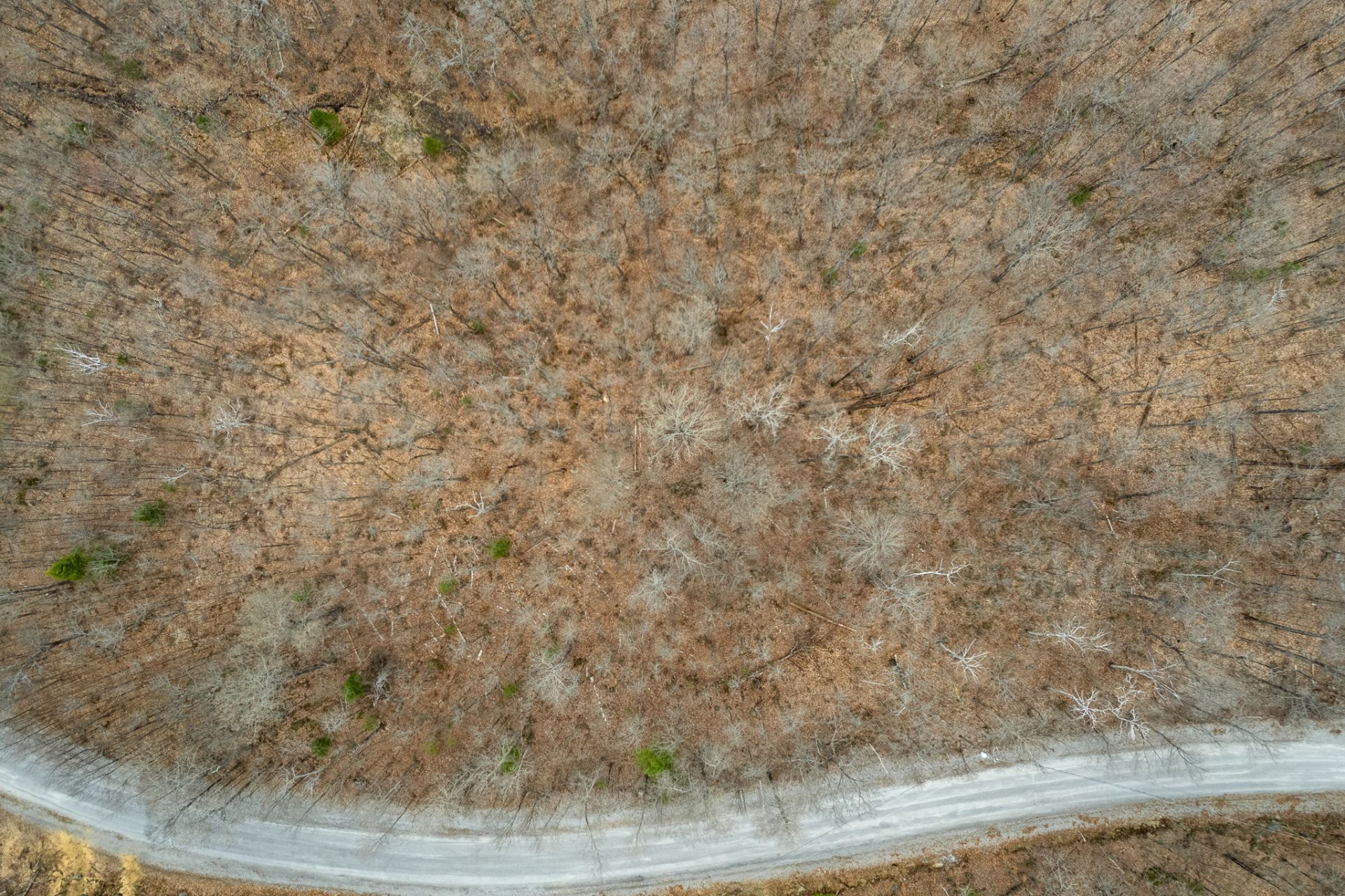 Land/Lot