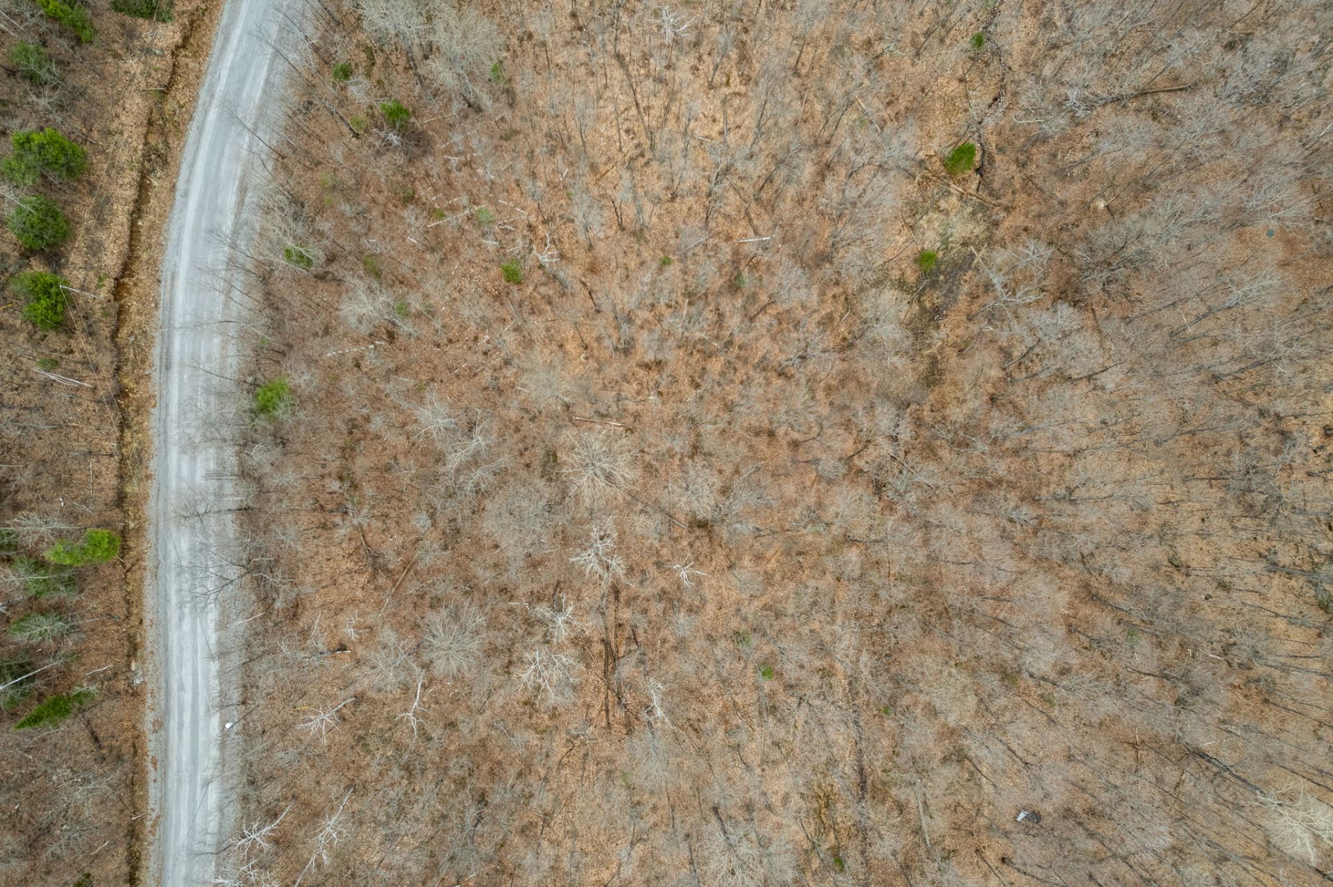 Land/Lot