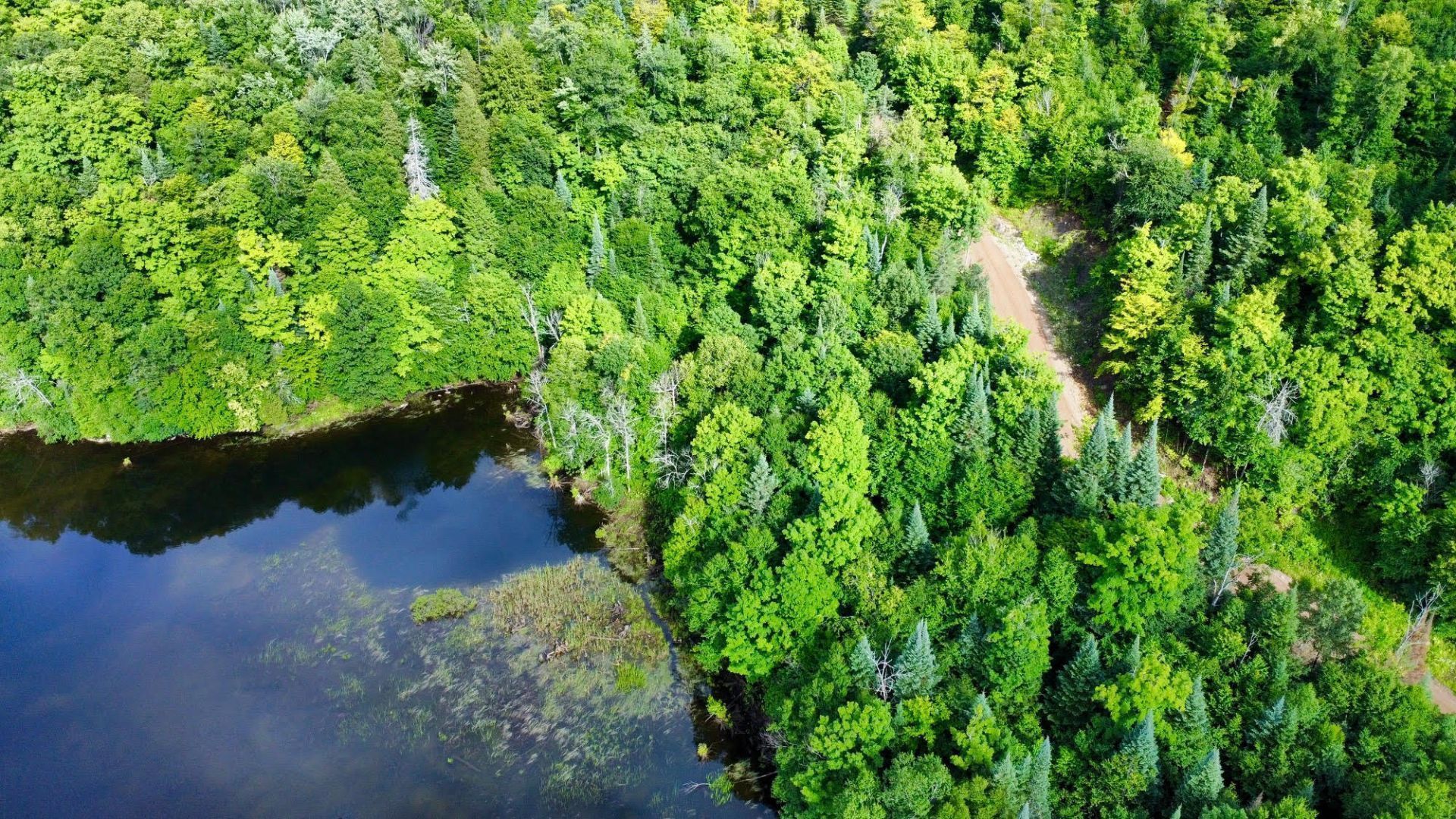 Aerial photo