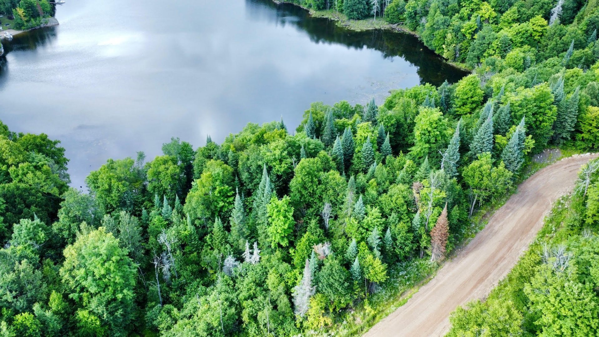 Aerial photo