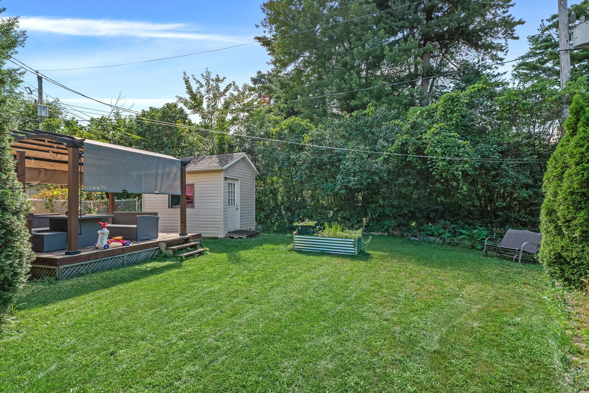 Backyard