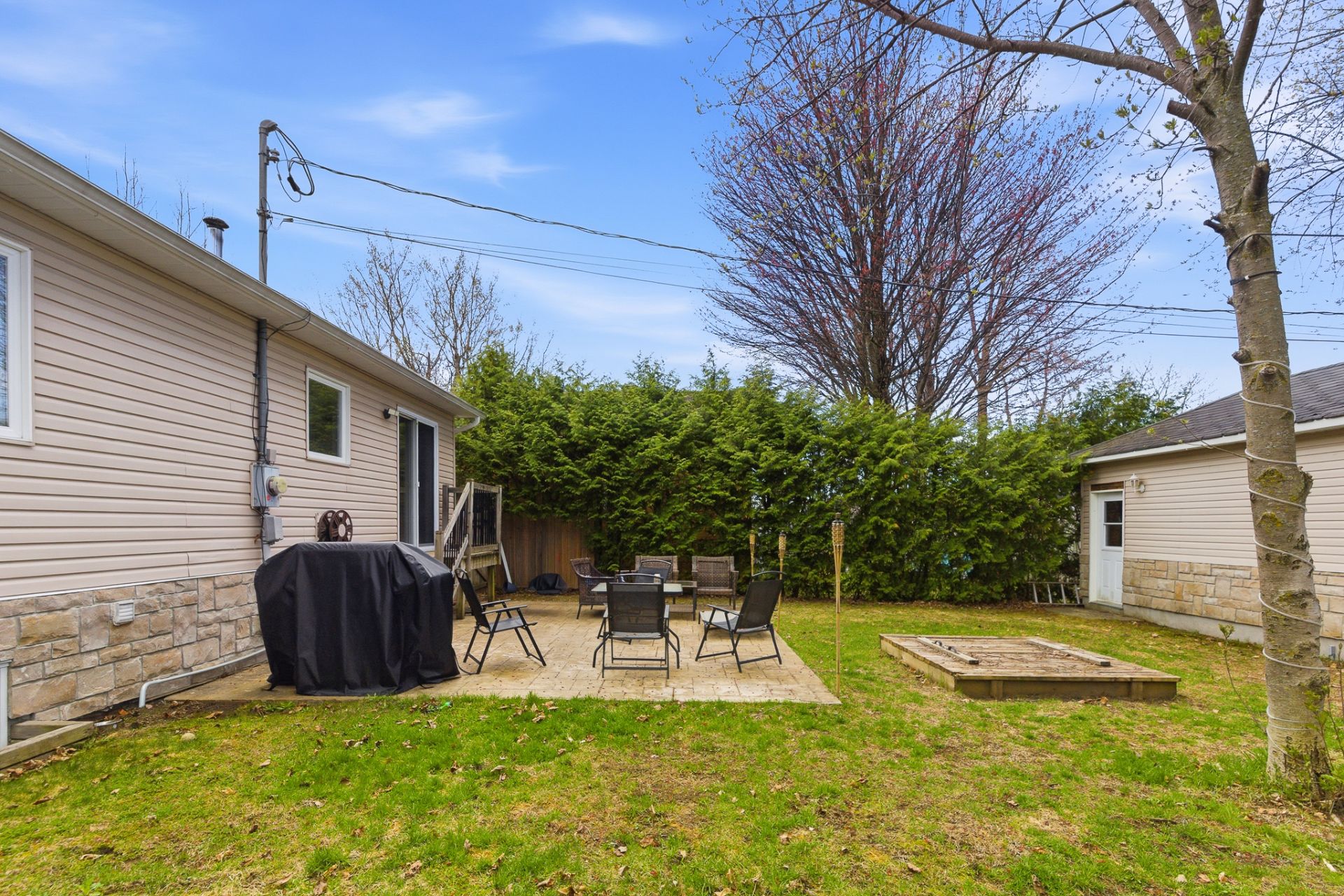 Backyard