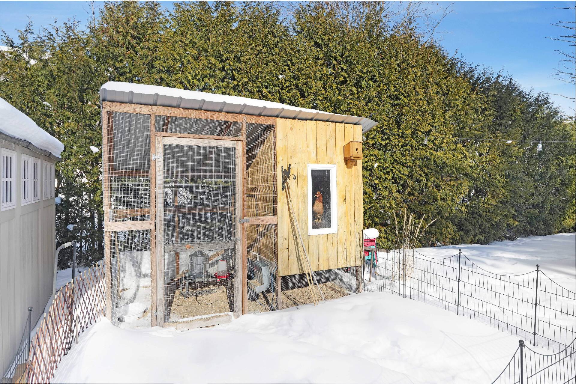 Other - chicken coop