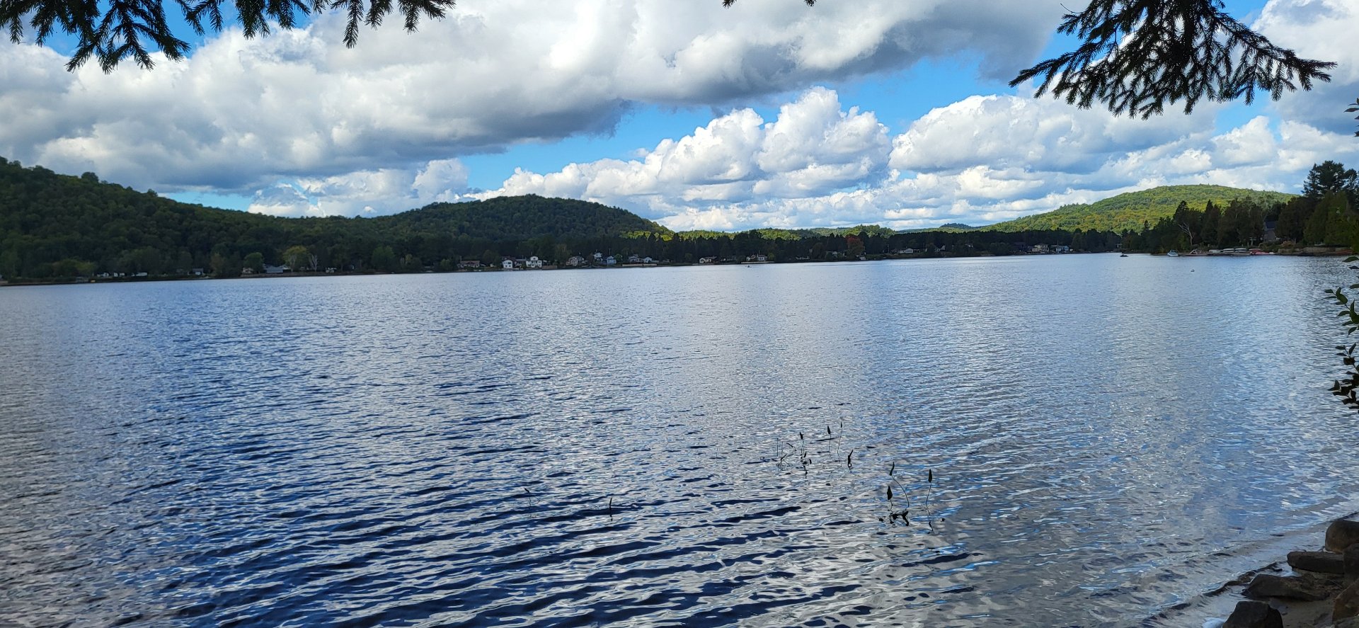 Water view