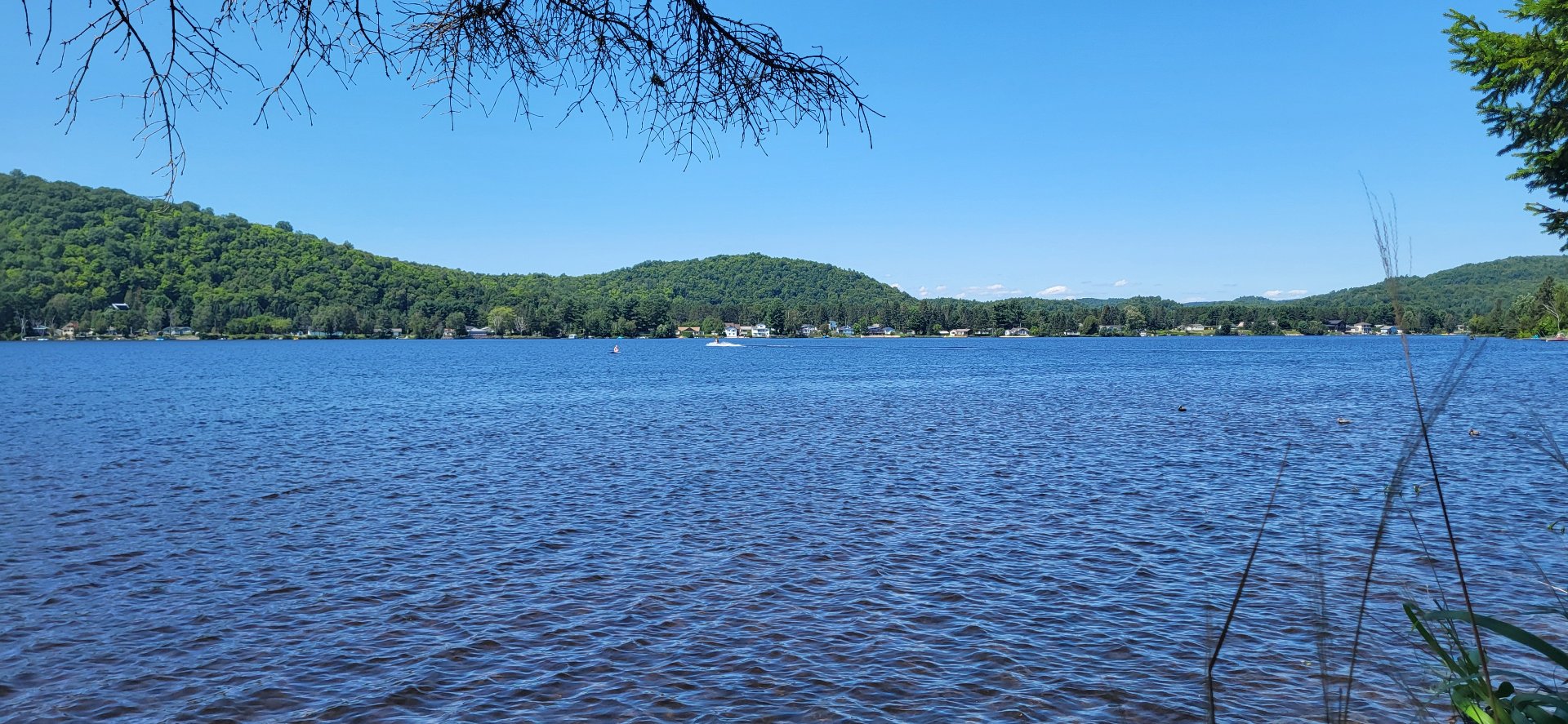 Water view