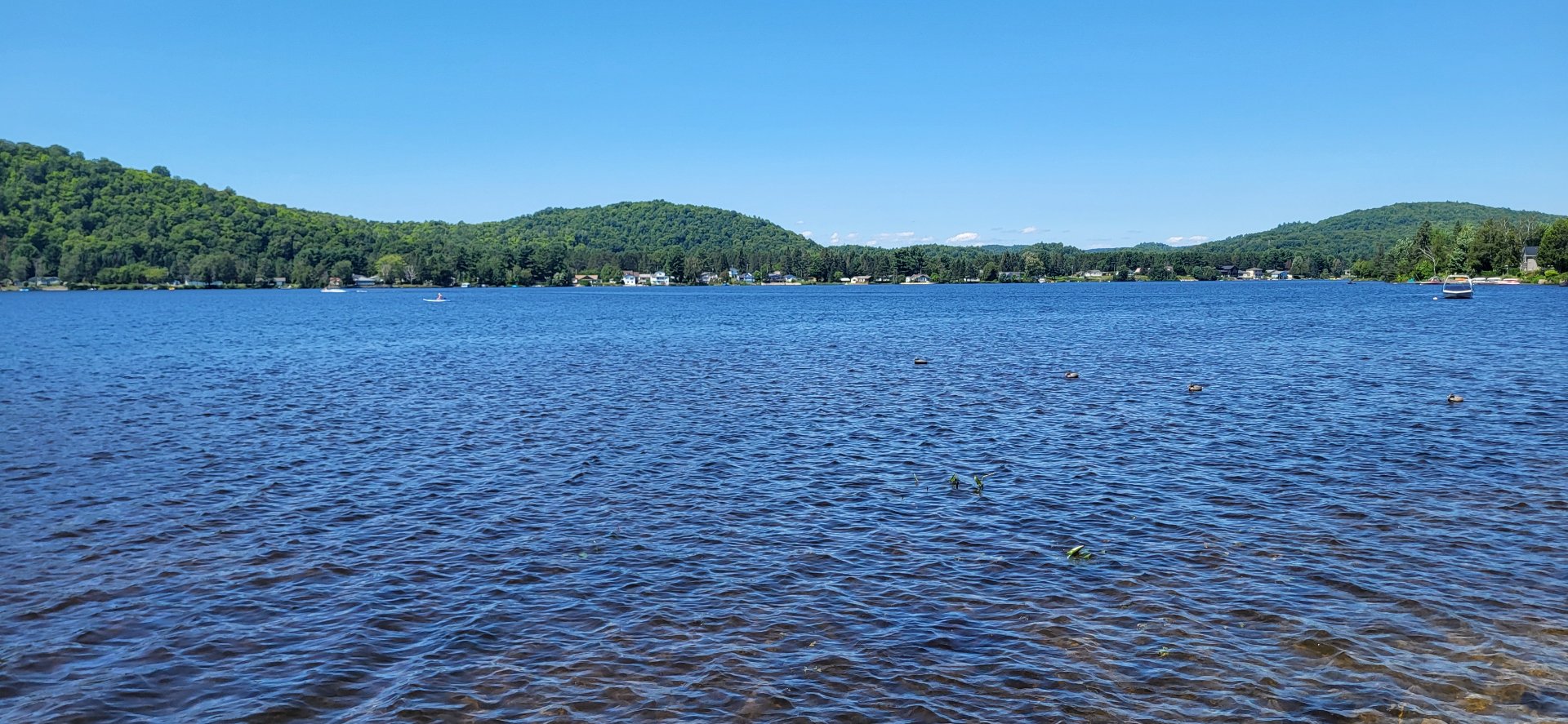 Water view