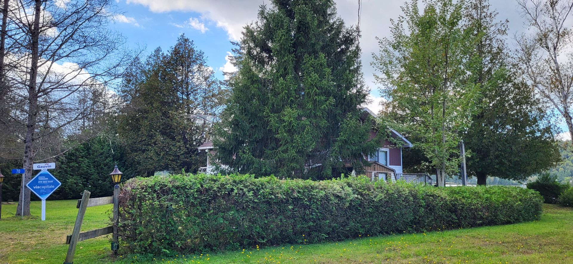 Overall view