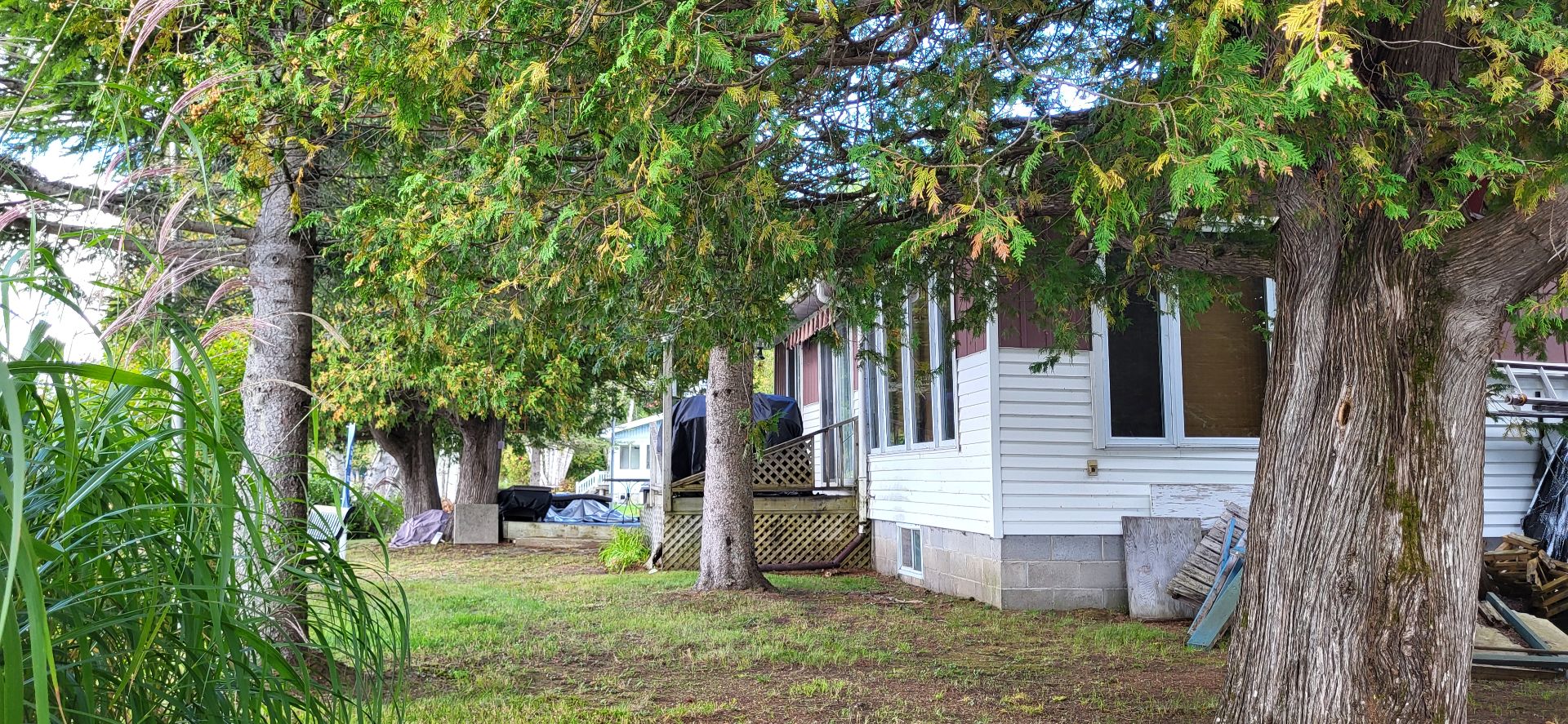 Backyard