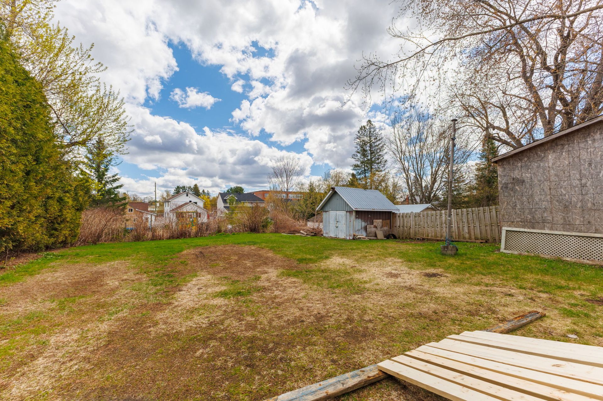 Backyard