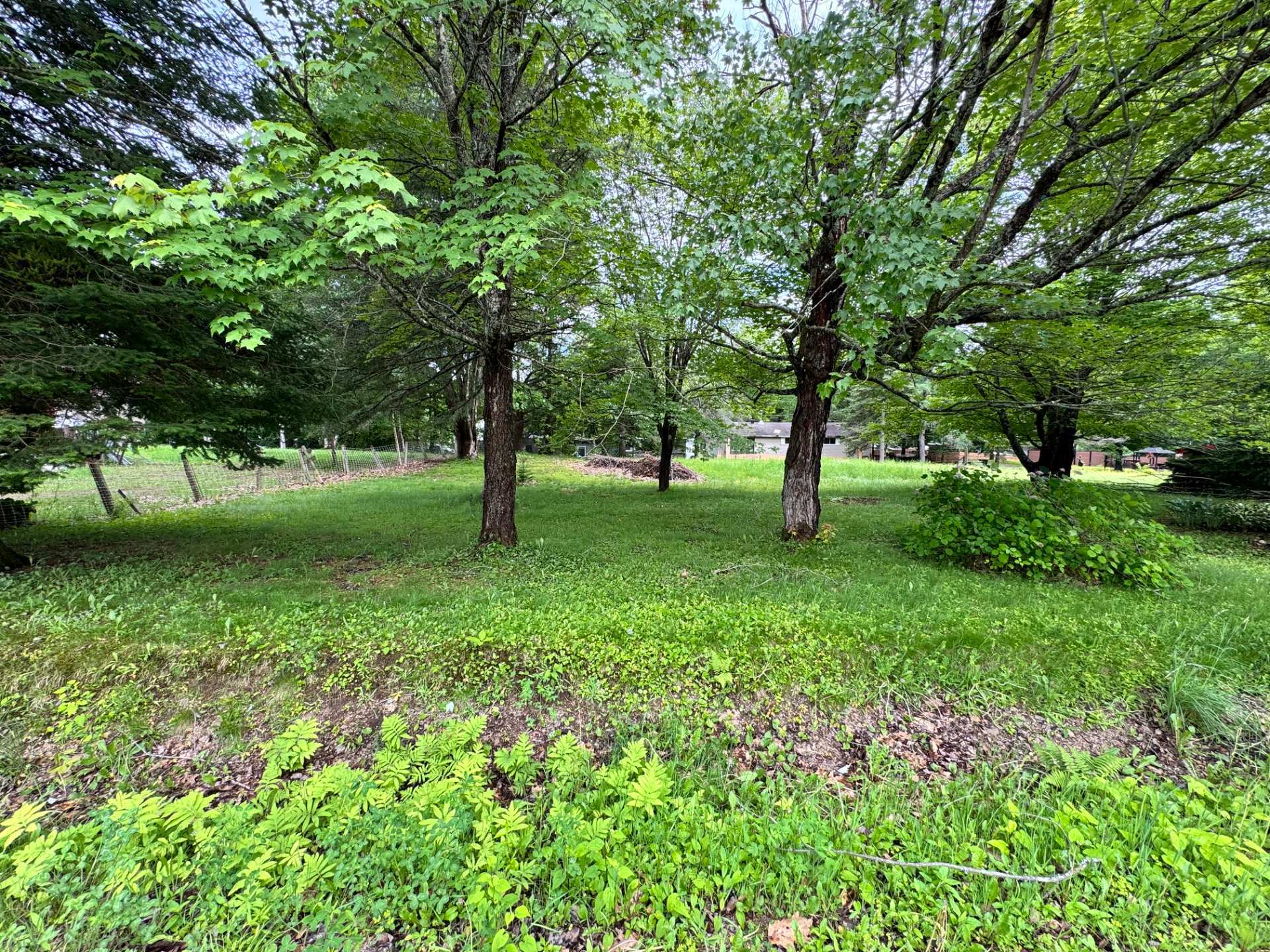 Land/Lot