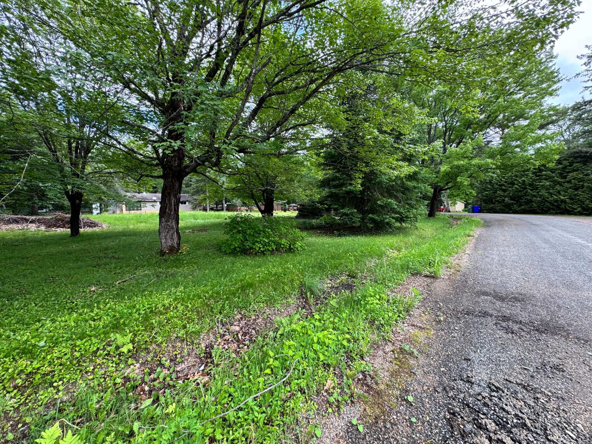 Land/Lot