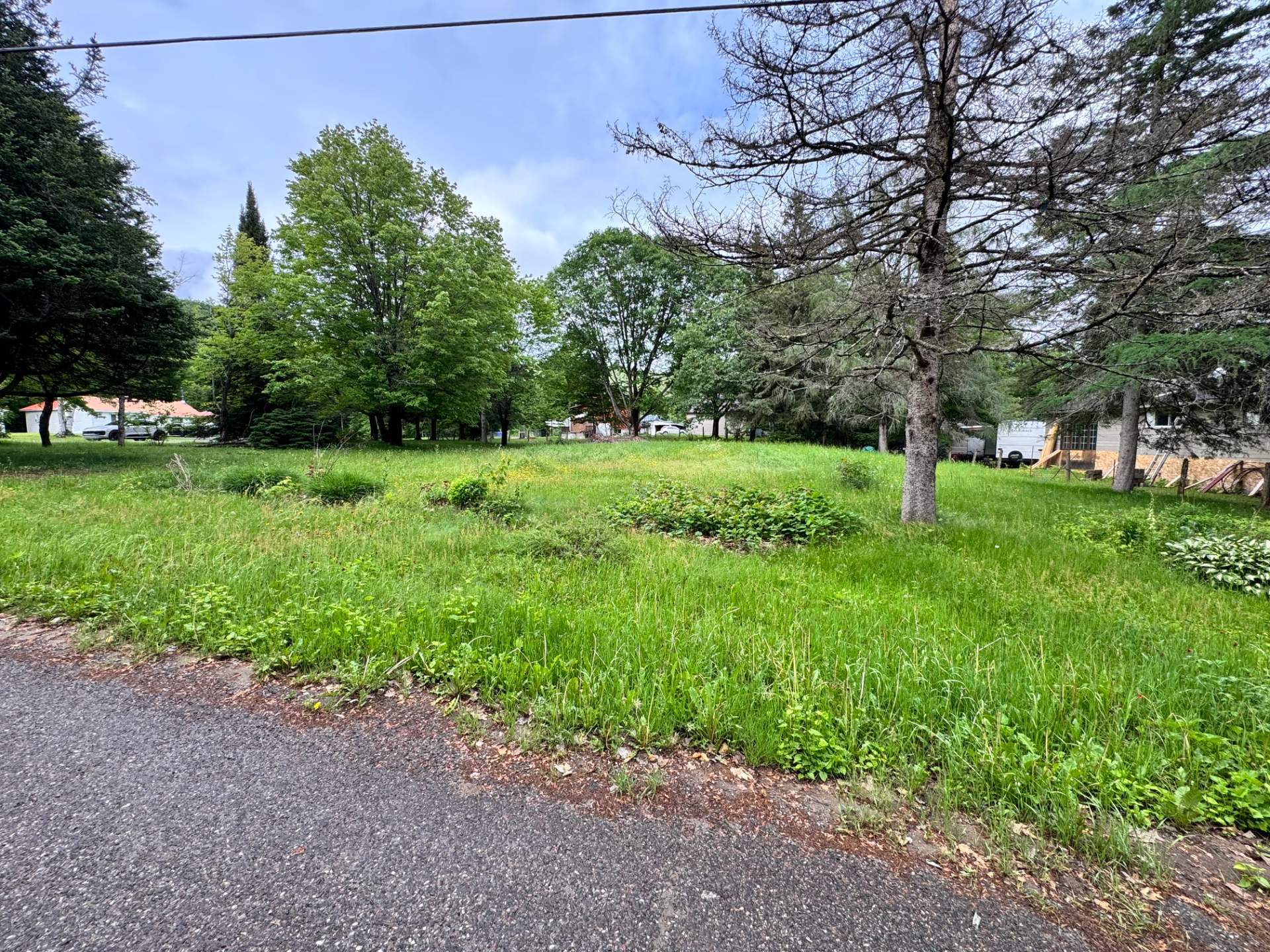 Land/Lot