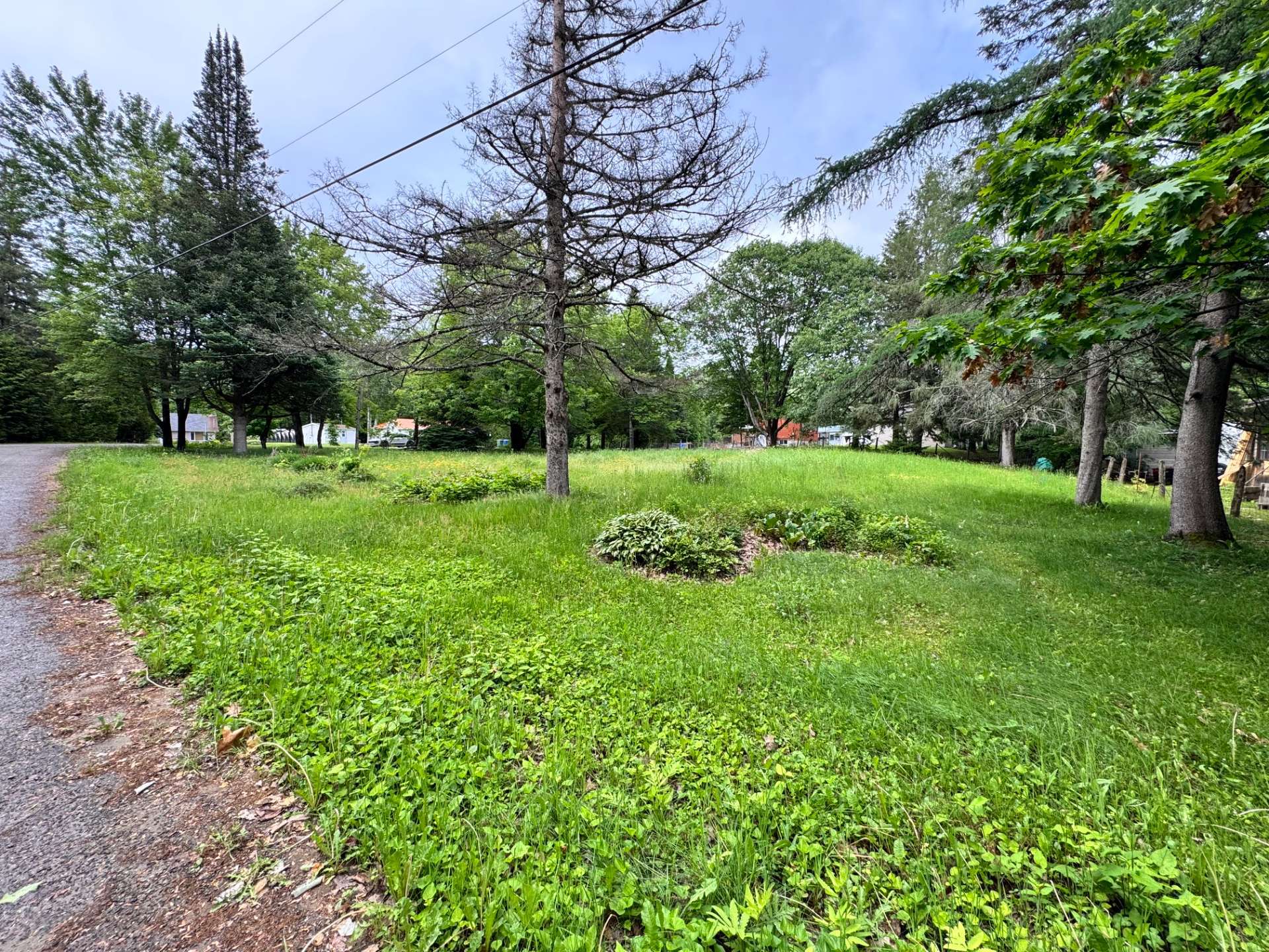 Land/Lot