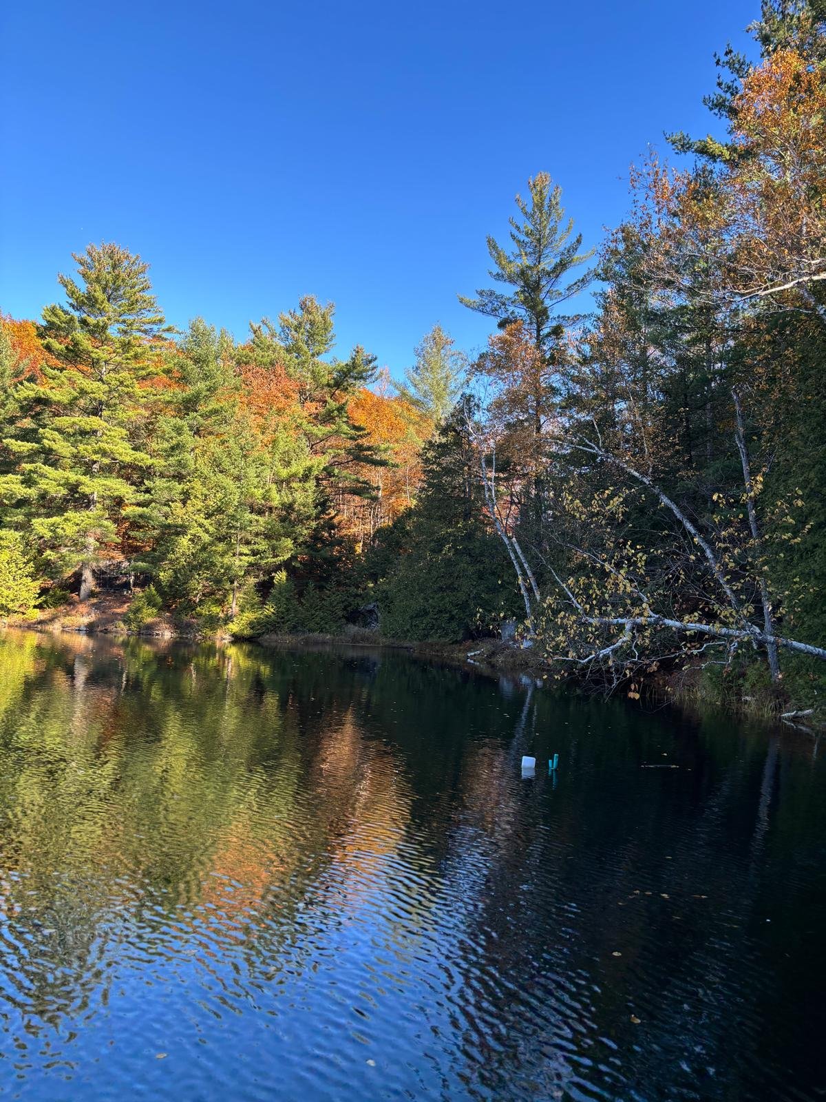 Vue sur l'eau