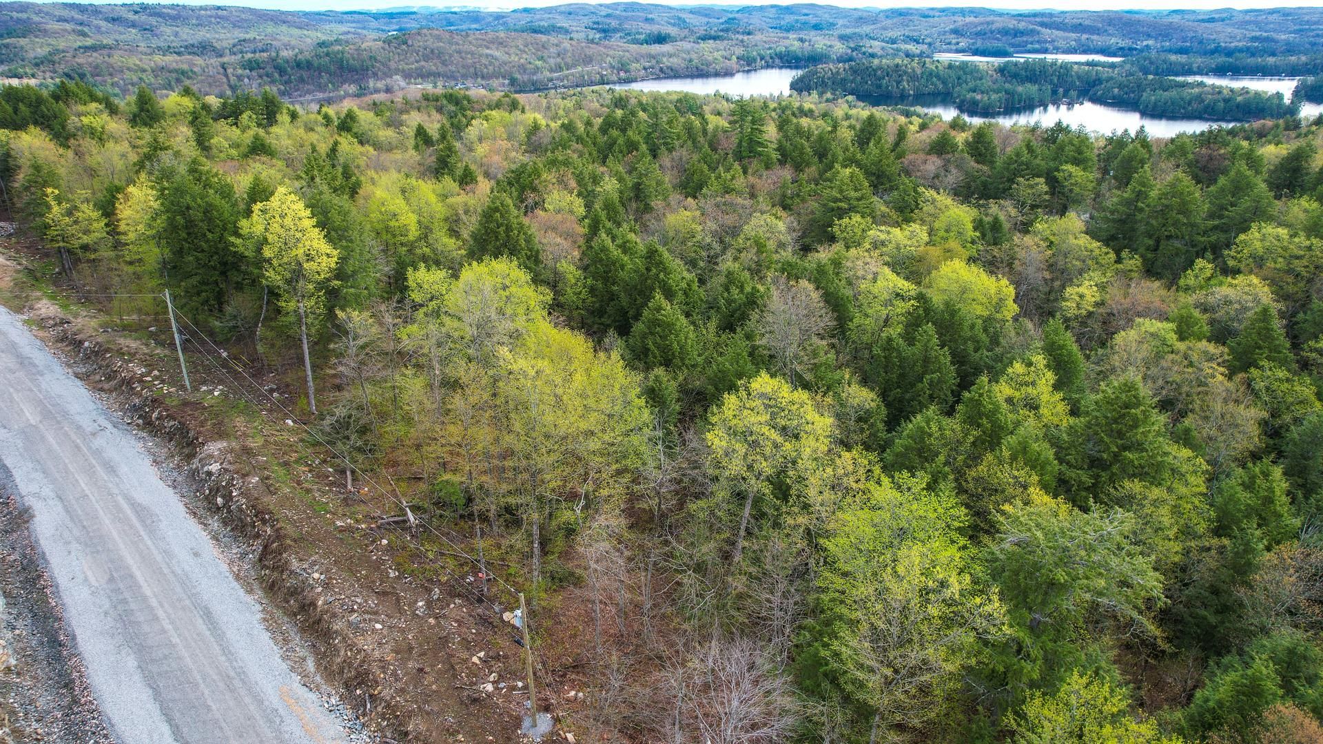 Overall View