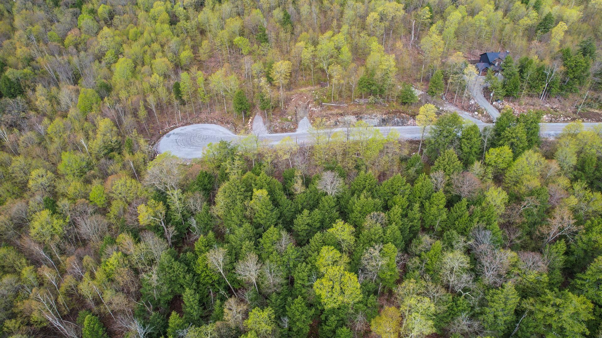 Overall View
