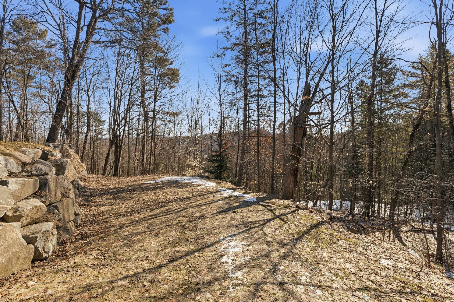 Land/Lot