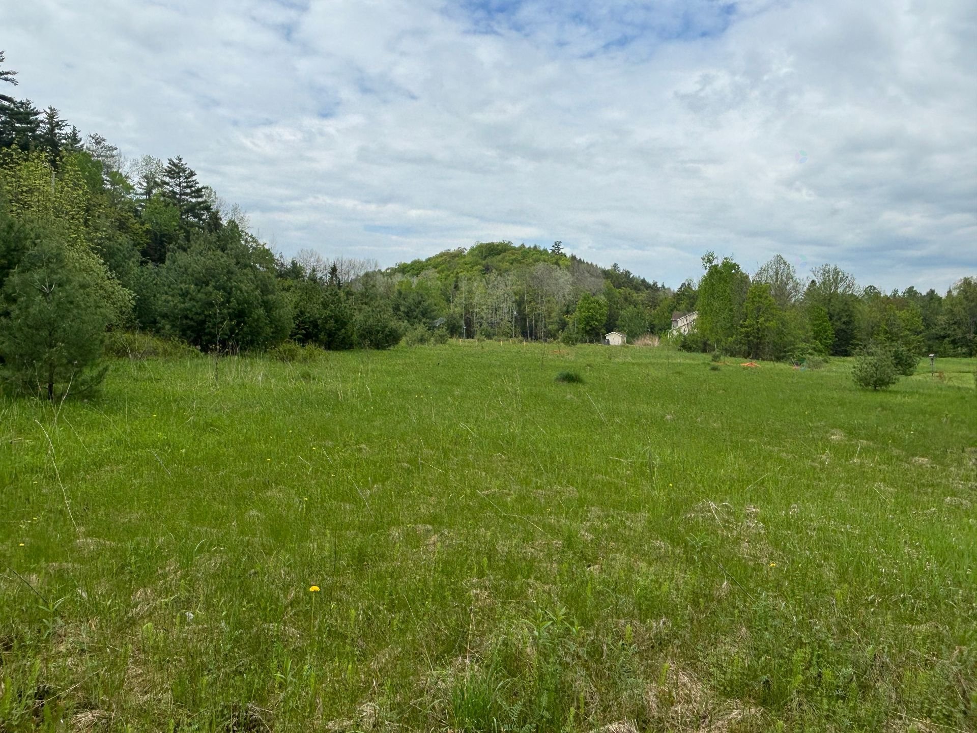 Land/Lot