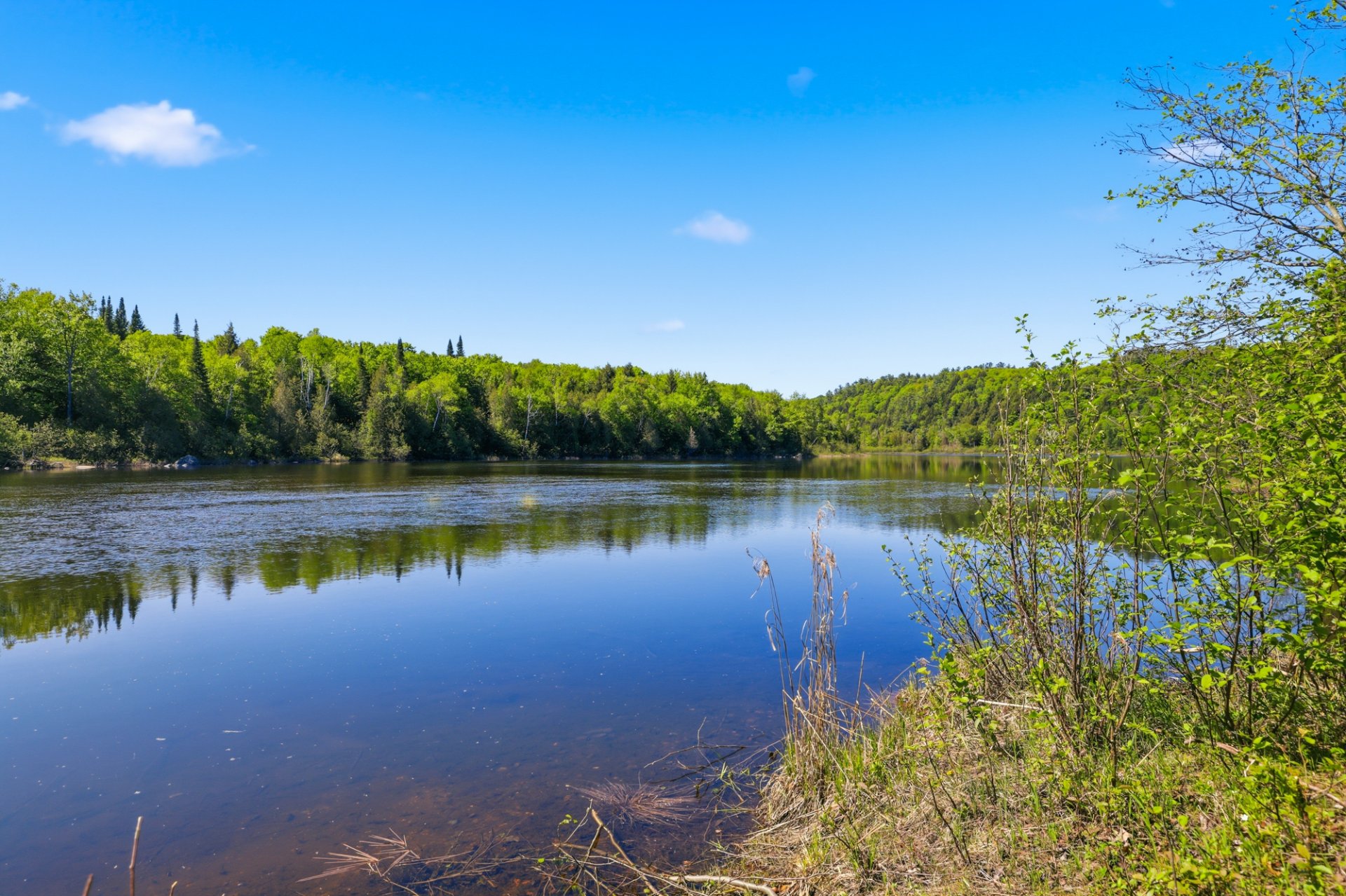 Vue sur l'eau