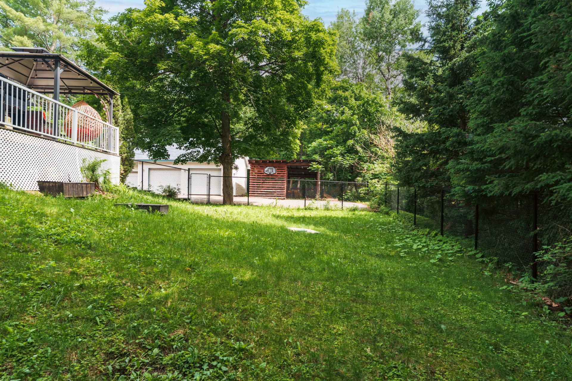 Backyard