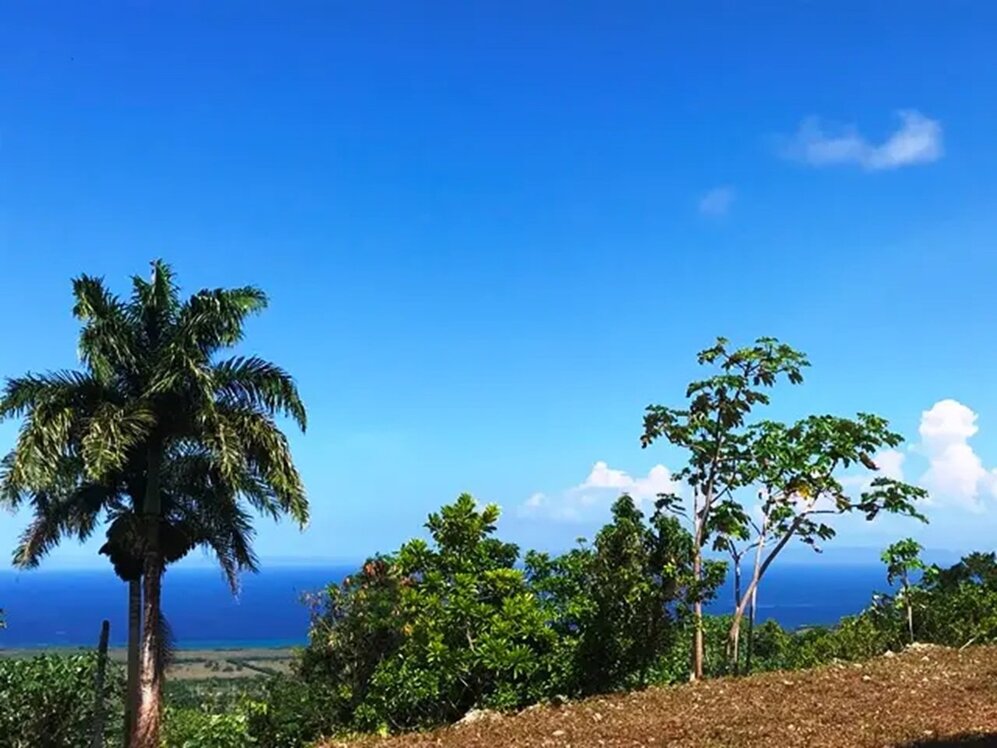 1 Loma Alta, Cabrera, Maria Trinidad Sanchez, DR LUIS ALB