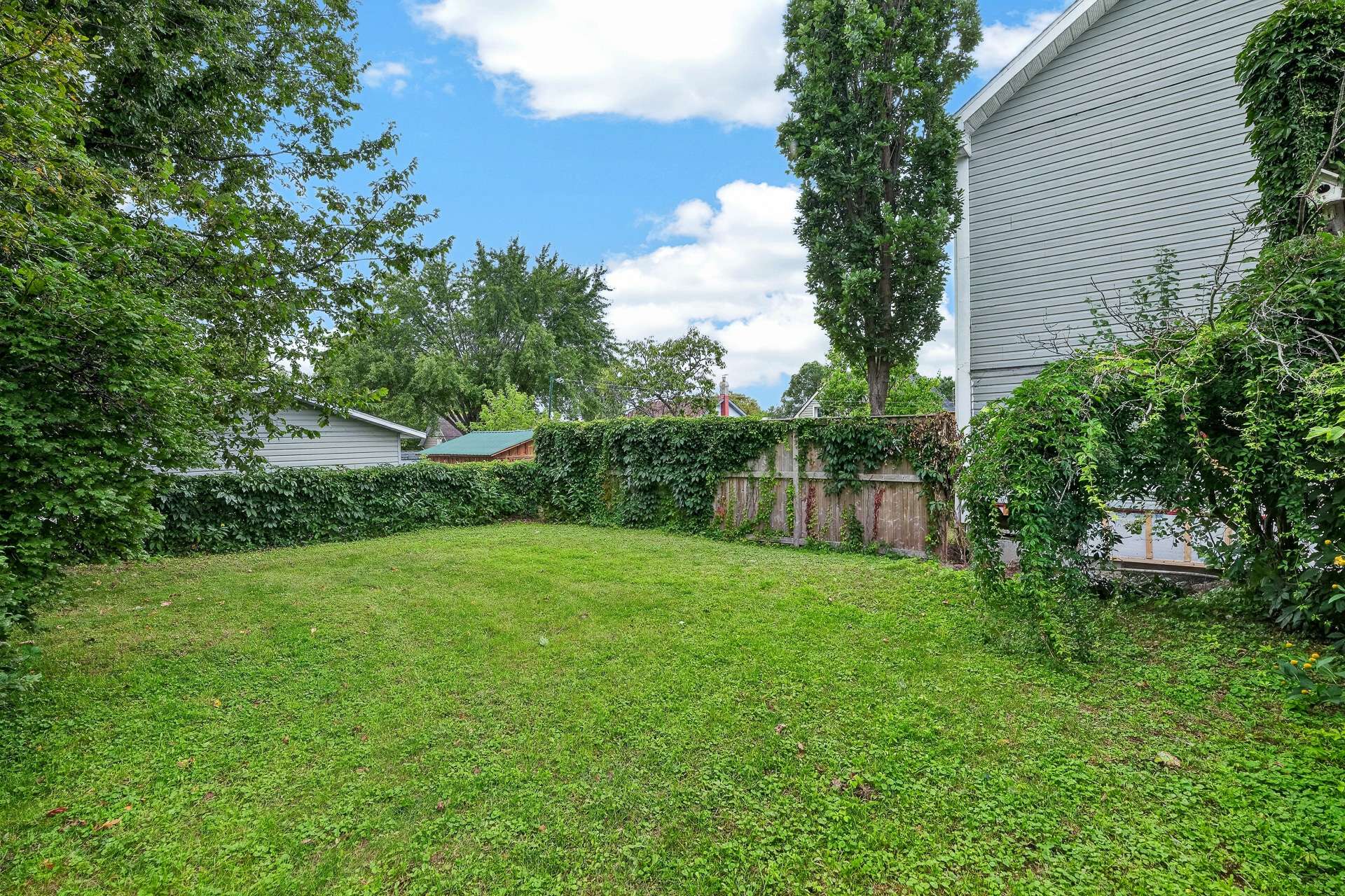 Backyard