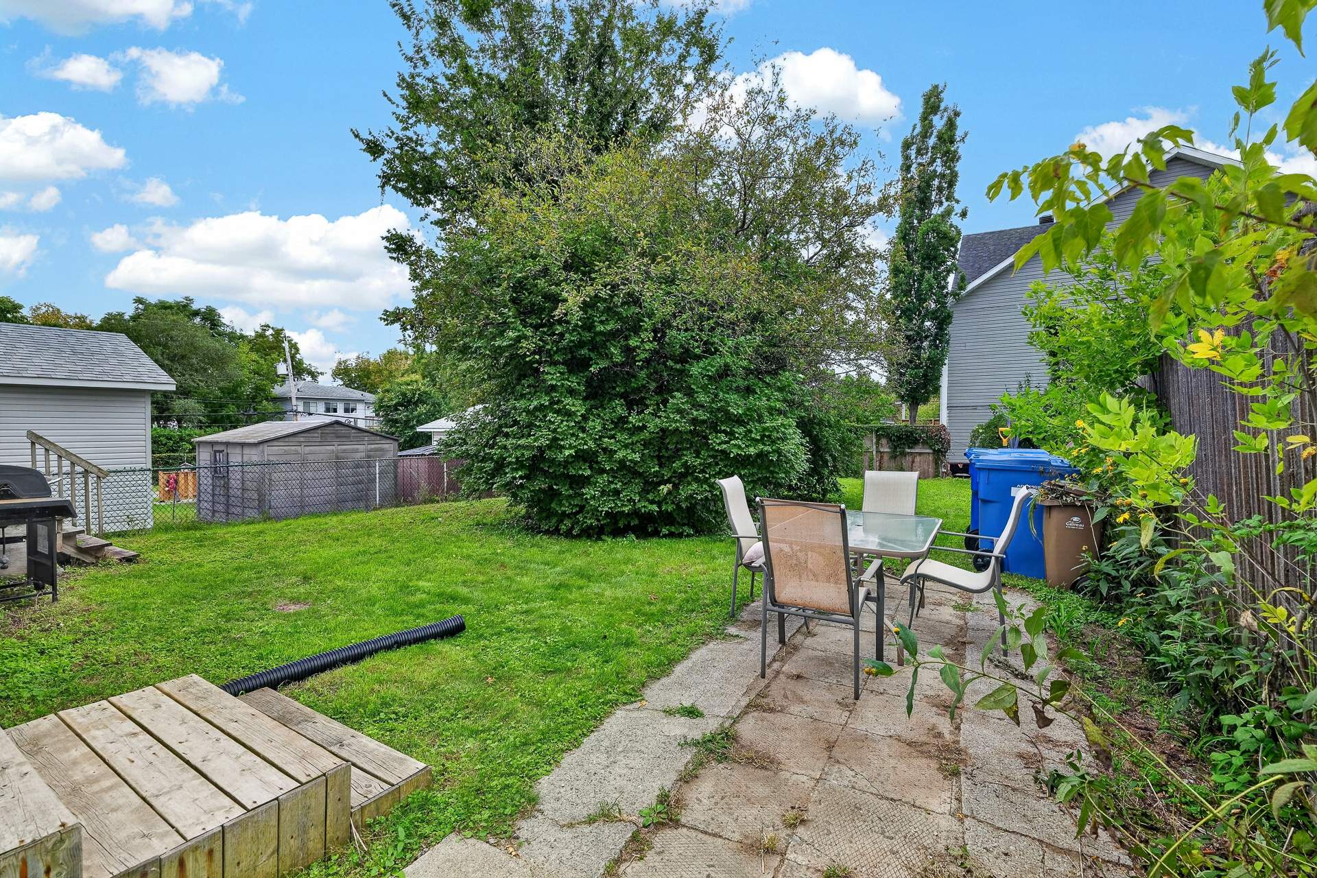 Backyard