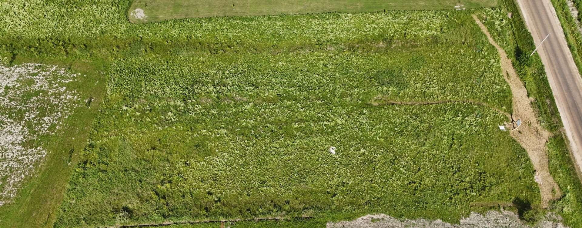 Overall view