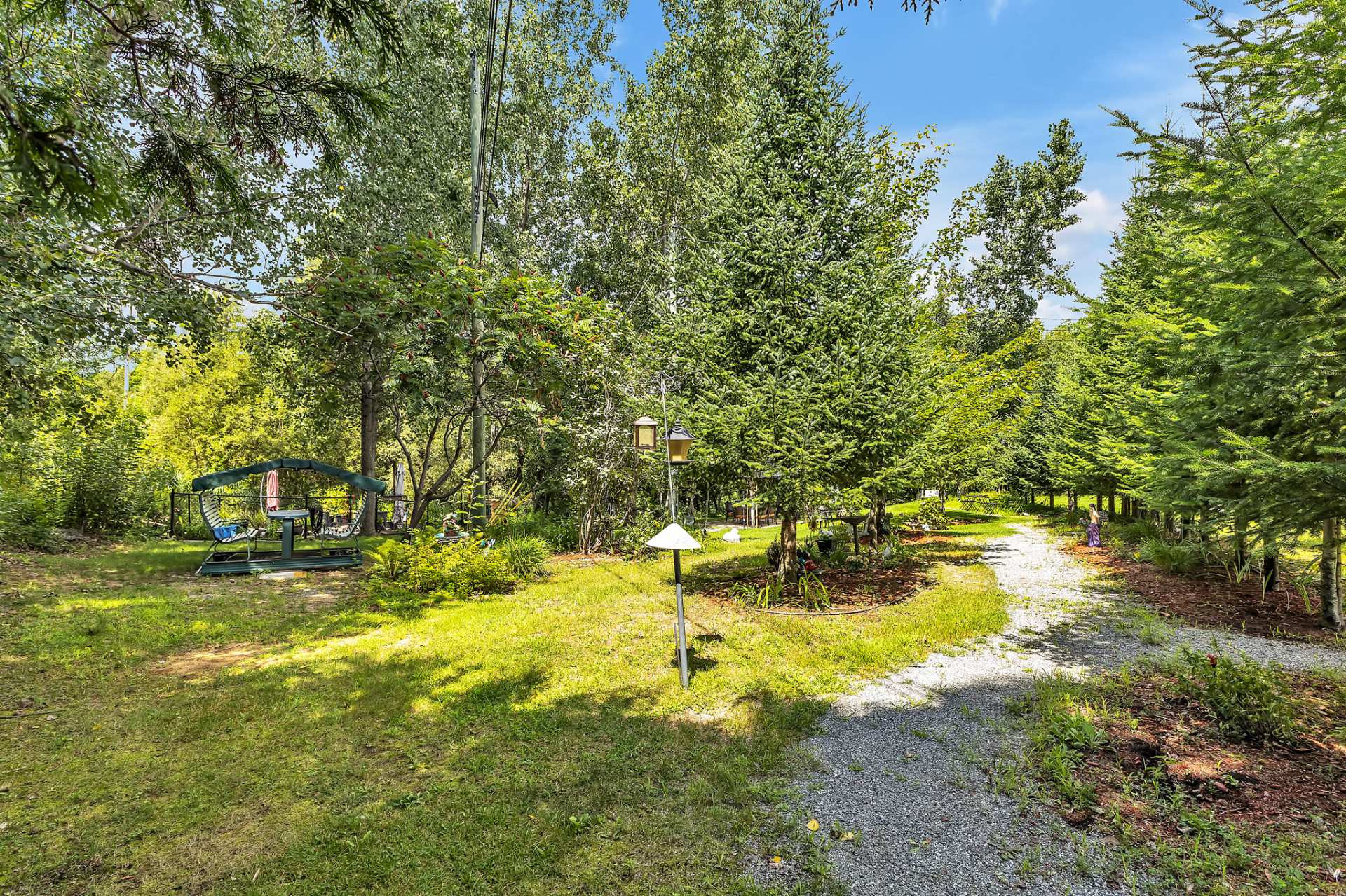 Wooded area