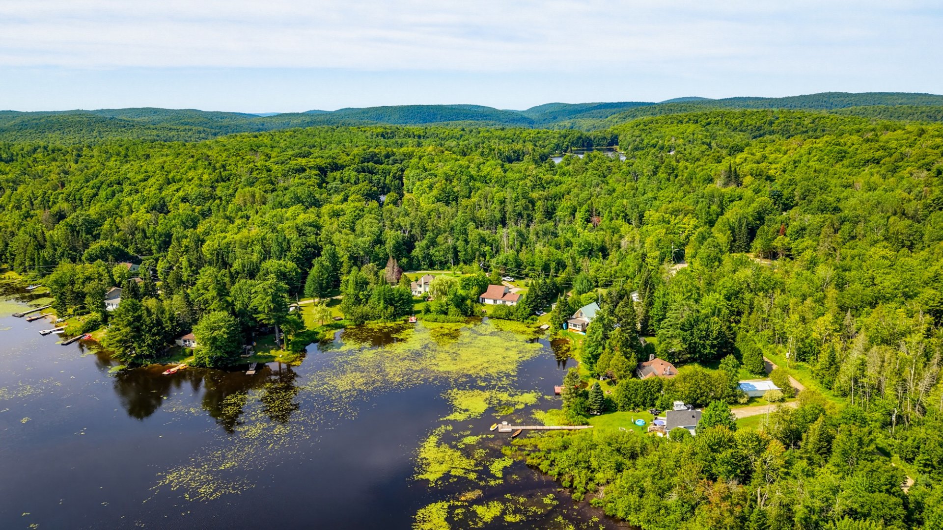 Aerial photo