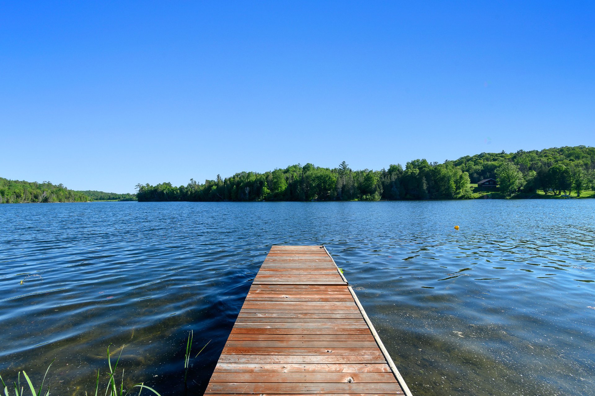 Bord de l'eau