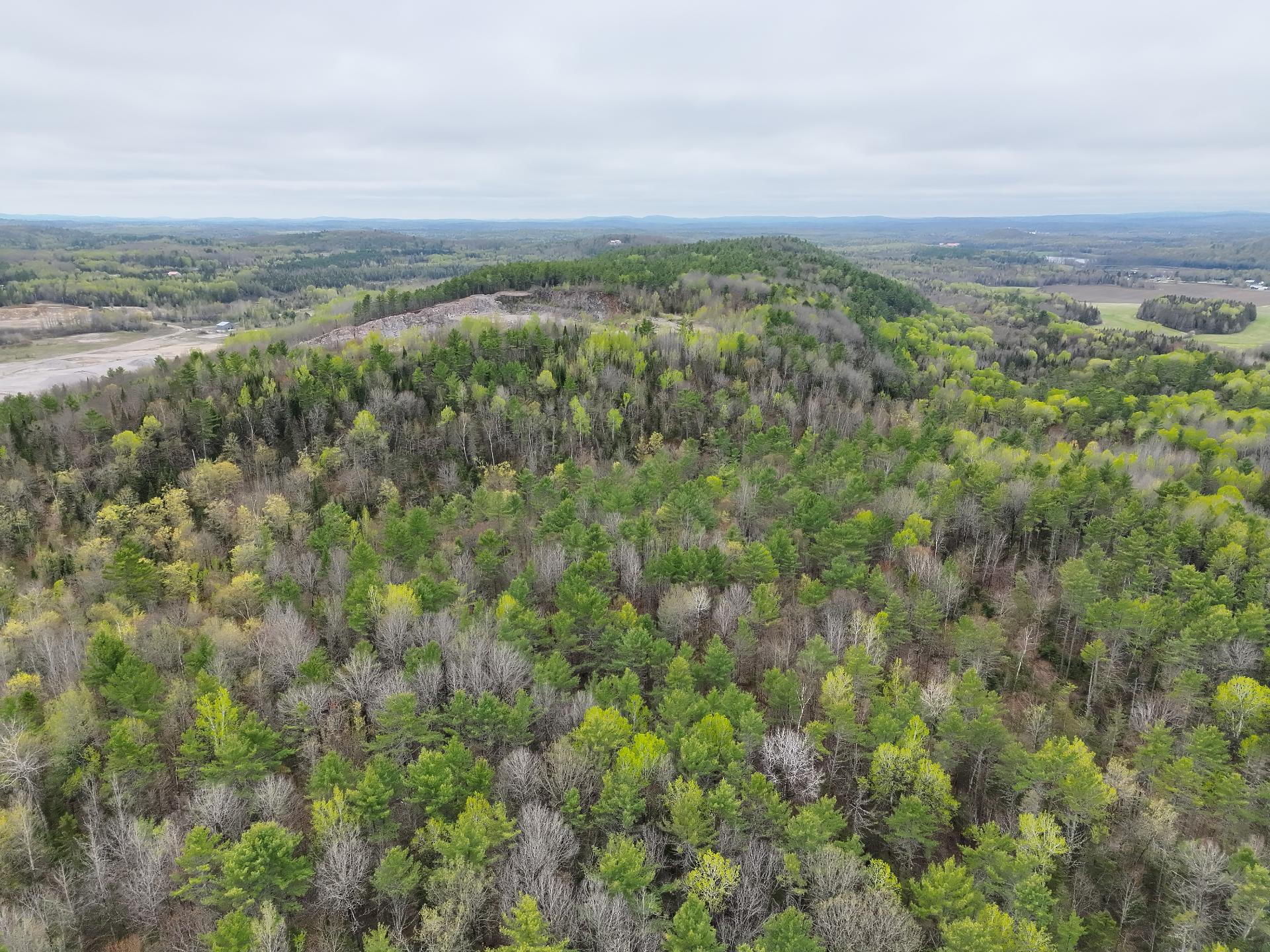 Land/Lot