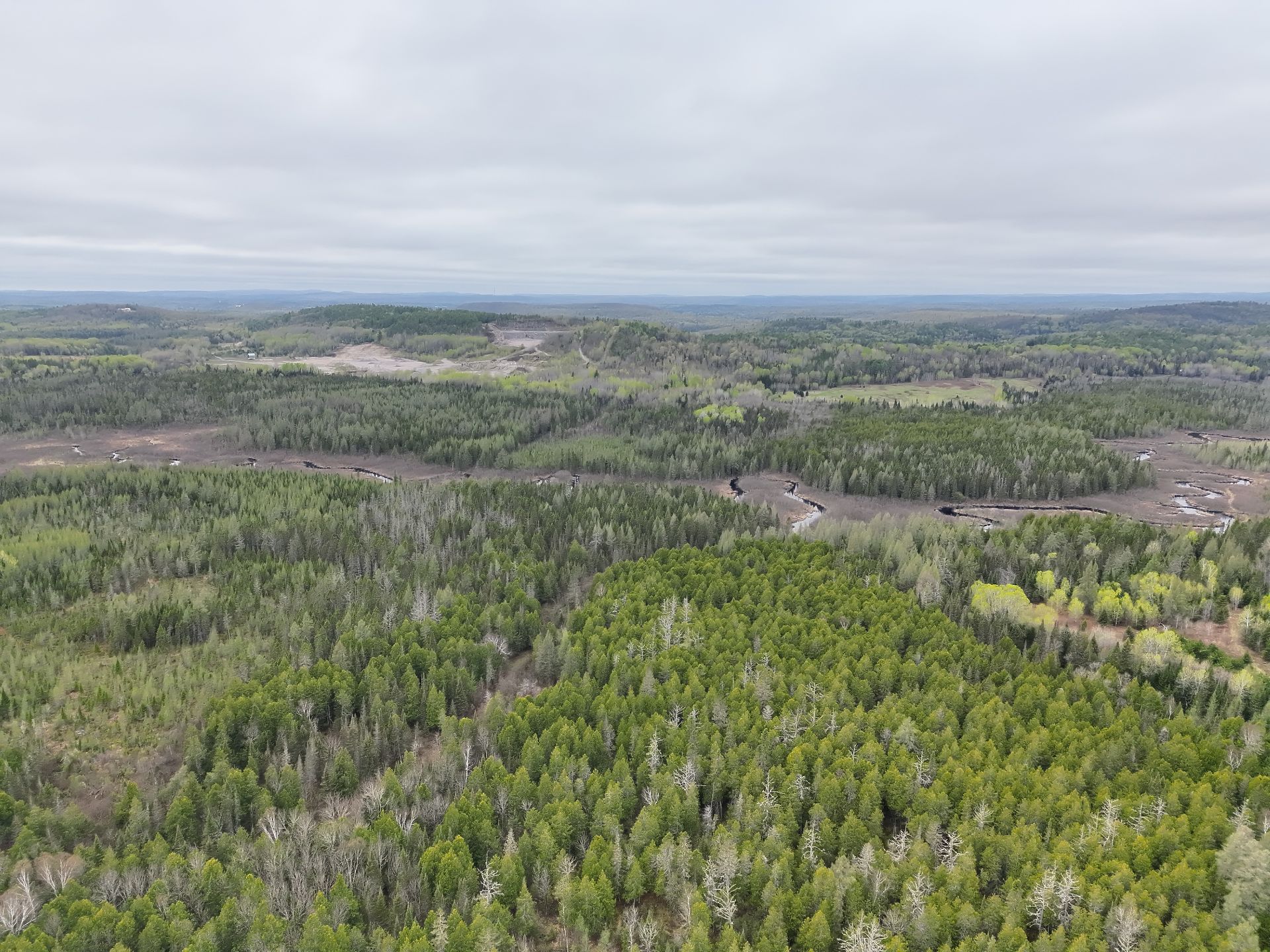 Land/Lot