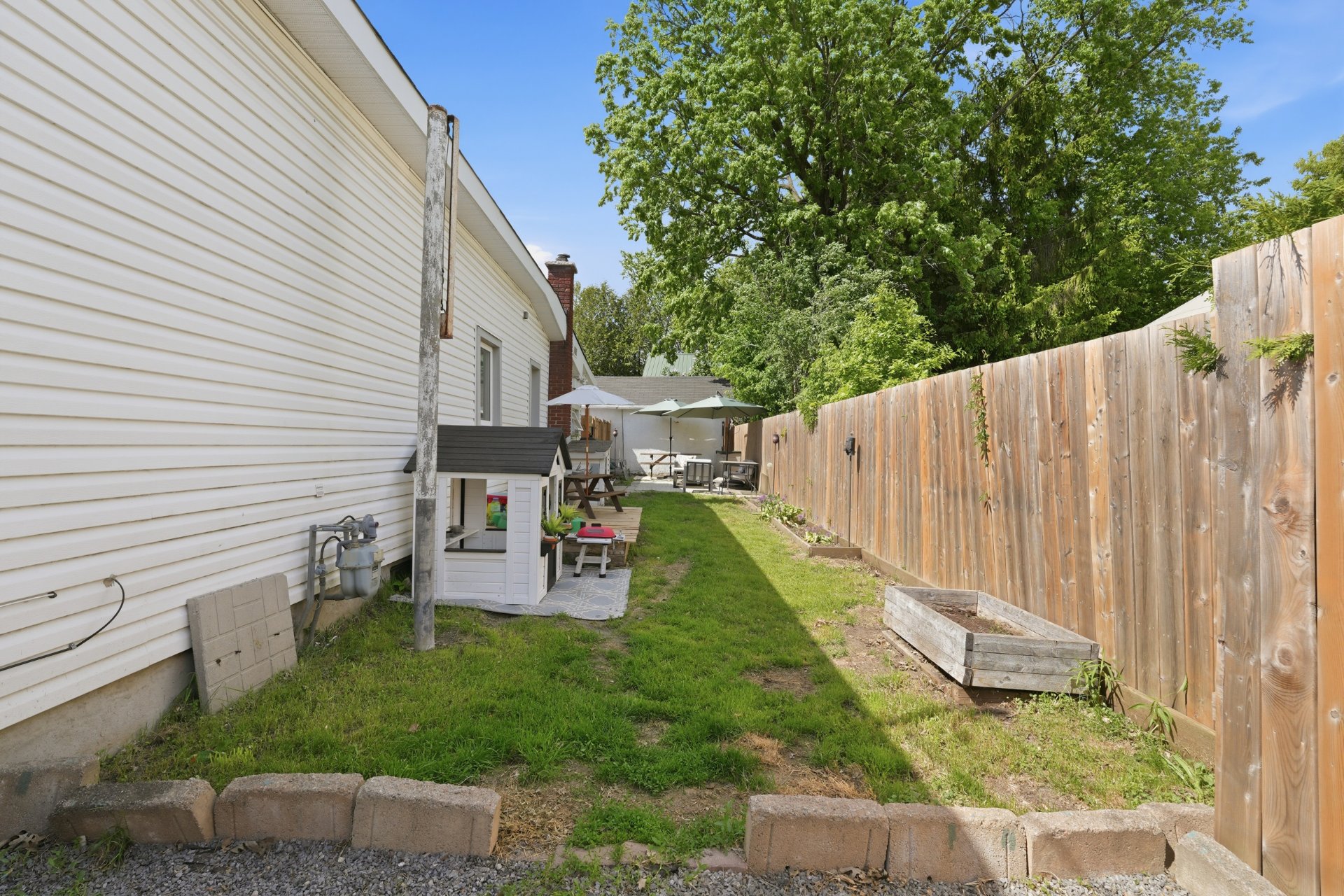 Backyard